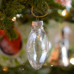 Clear oval ornament