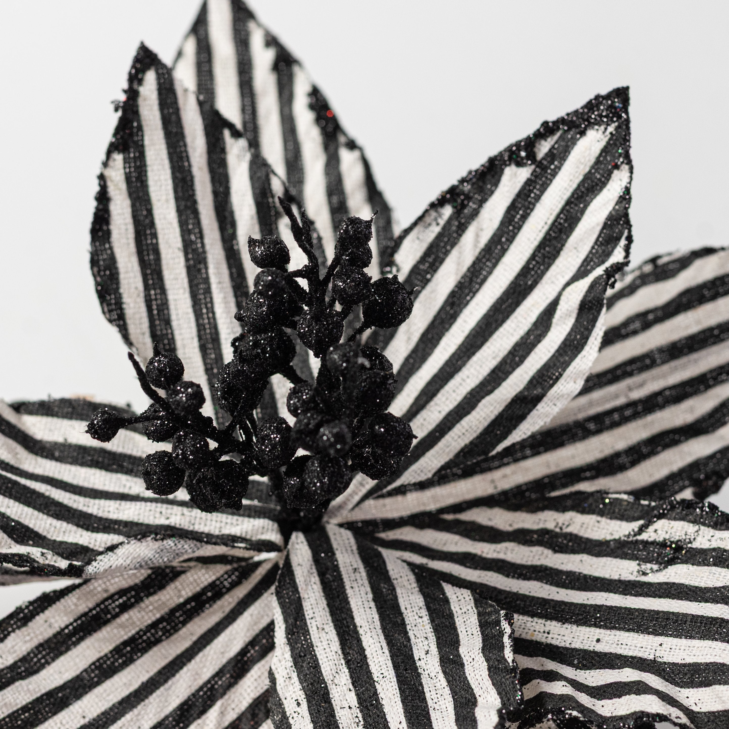 11" x 19" Striped Poinsettia Stem: Black & White Lifestyle Photo