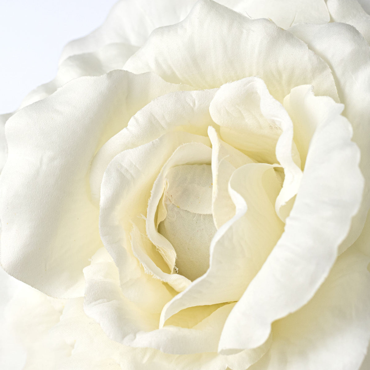 11" Oversized Rose Head: Cream detail photo 4