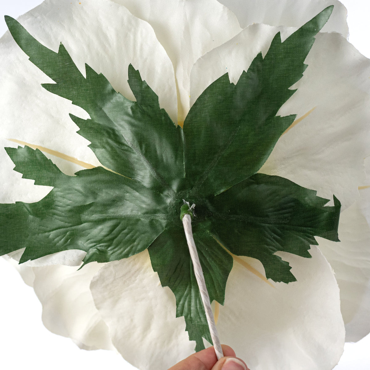 11" Oversized Rose Head: Cream detail photo 5