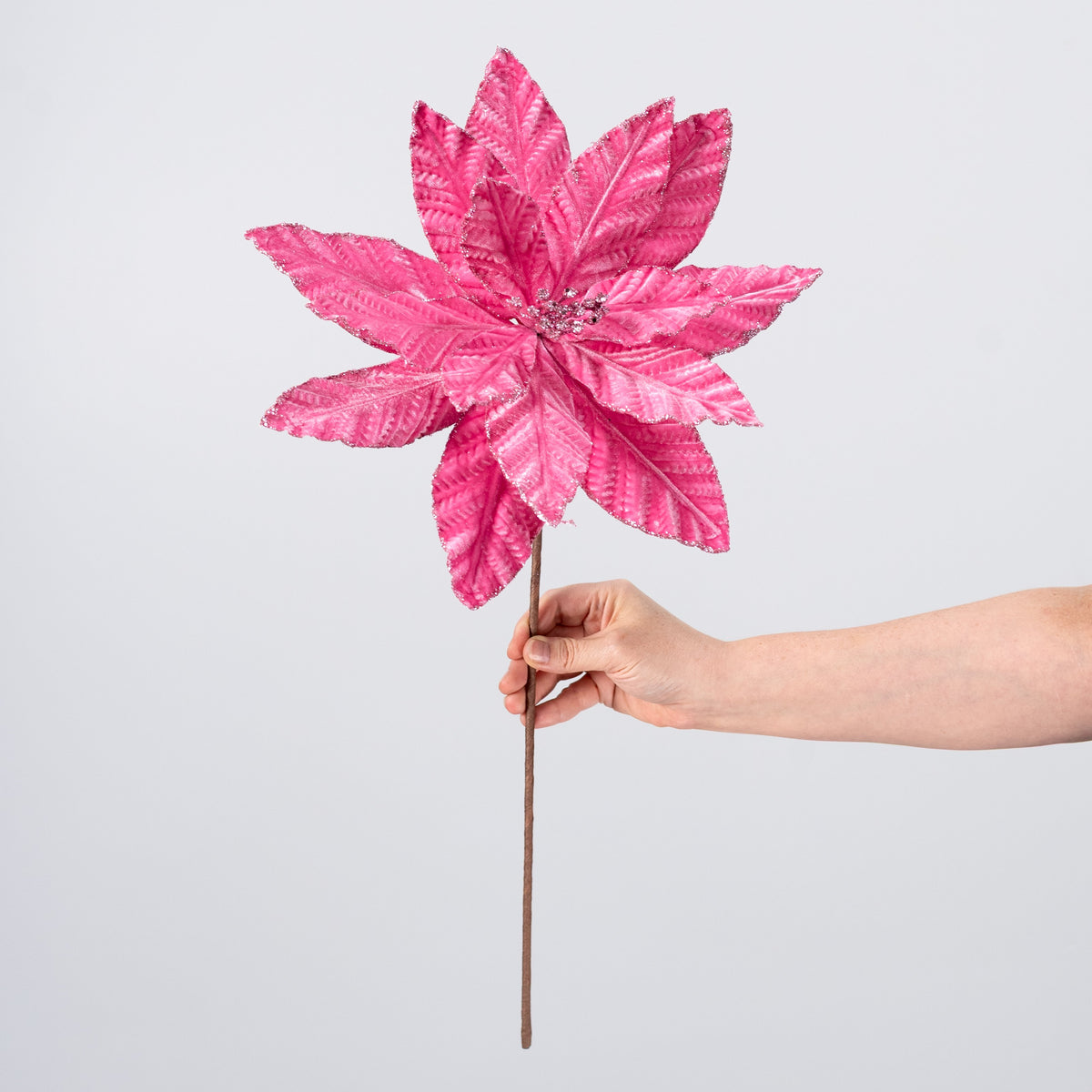 12" x 20" Embossed Velvet Poinsettia Stem: Candy Pink detail photo 3