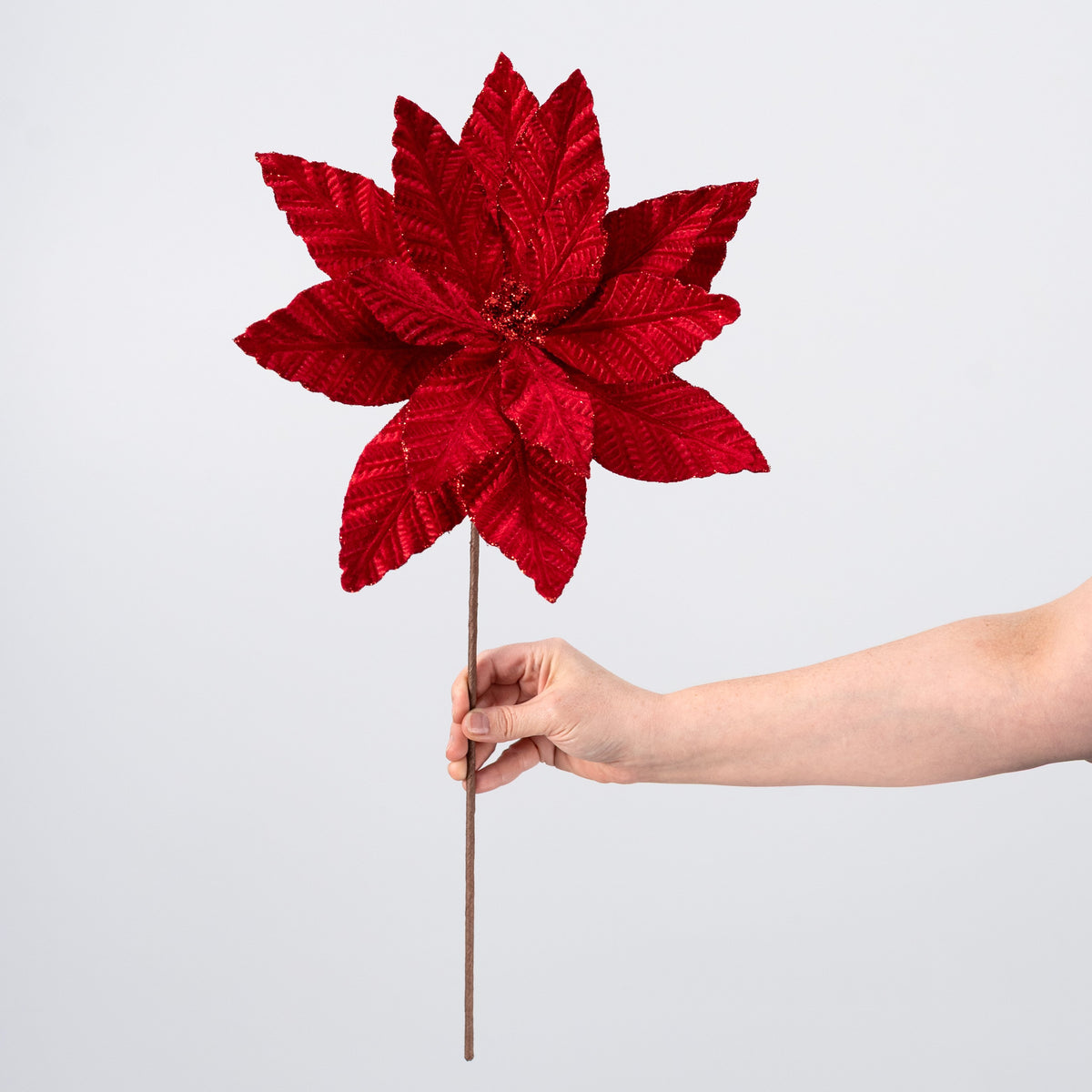 12" x 20" Embossed Velvet Poinsettia Stem: Red detail photo 3