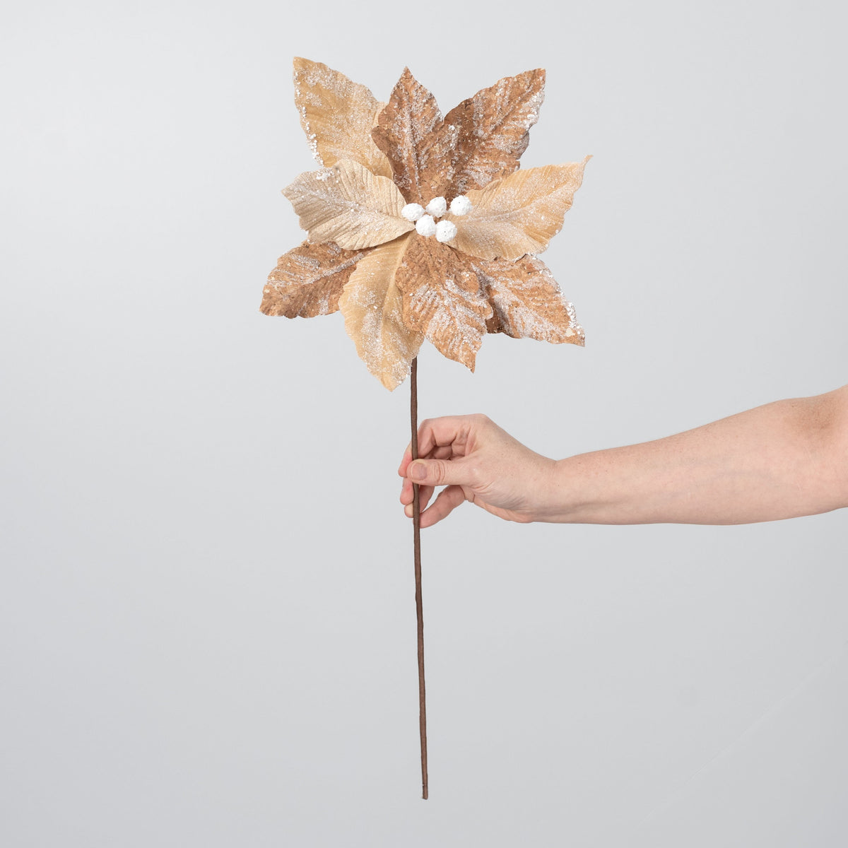 12" x 20" Frosted Poinsettia Stem: Gingerbread Tan detail photo 3