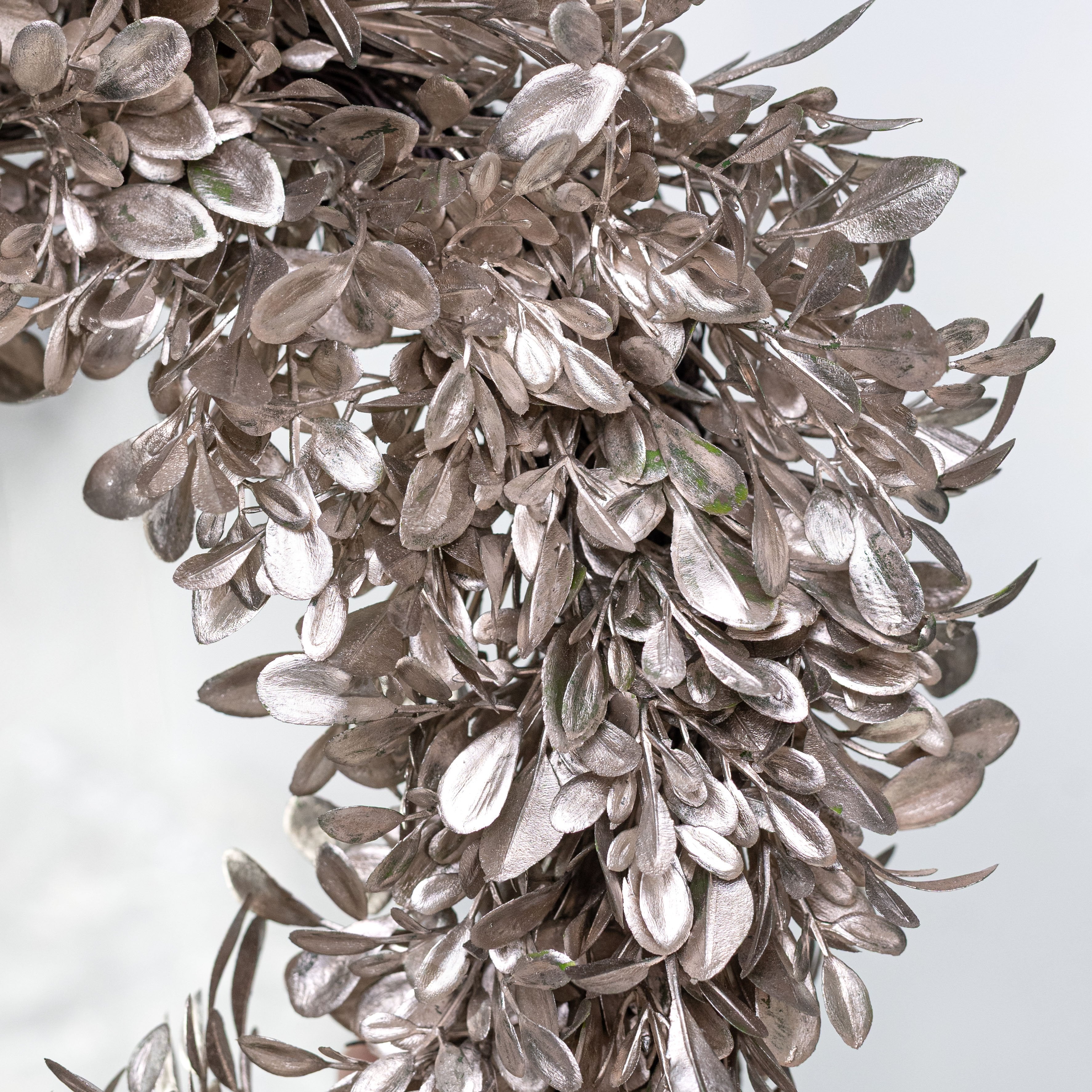 12" Boxwood Cabinet Wreath: Champagne detail photo 3