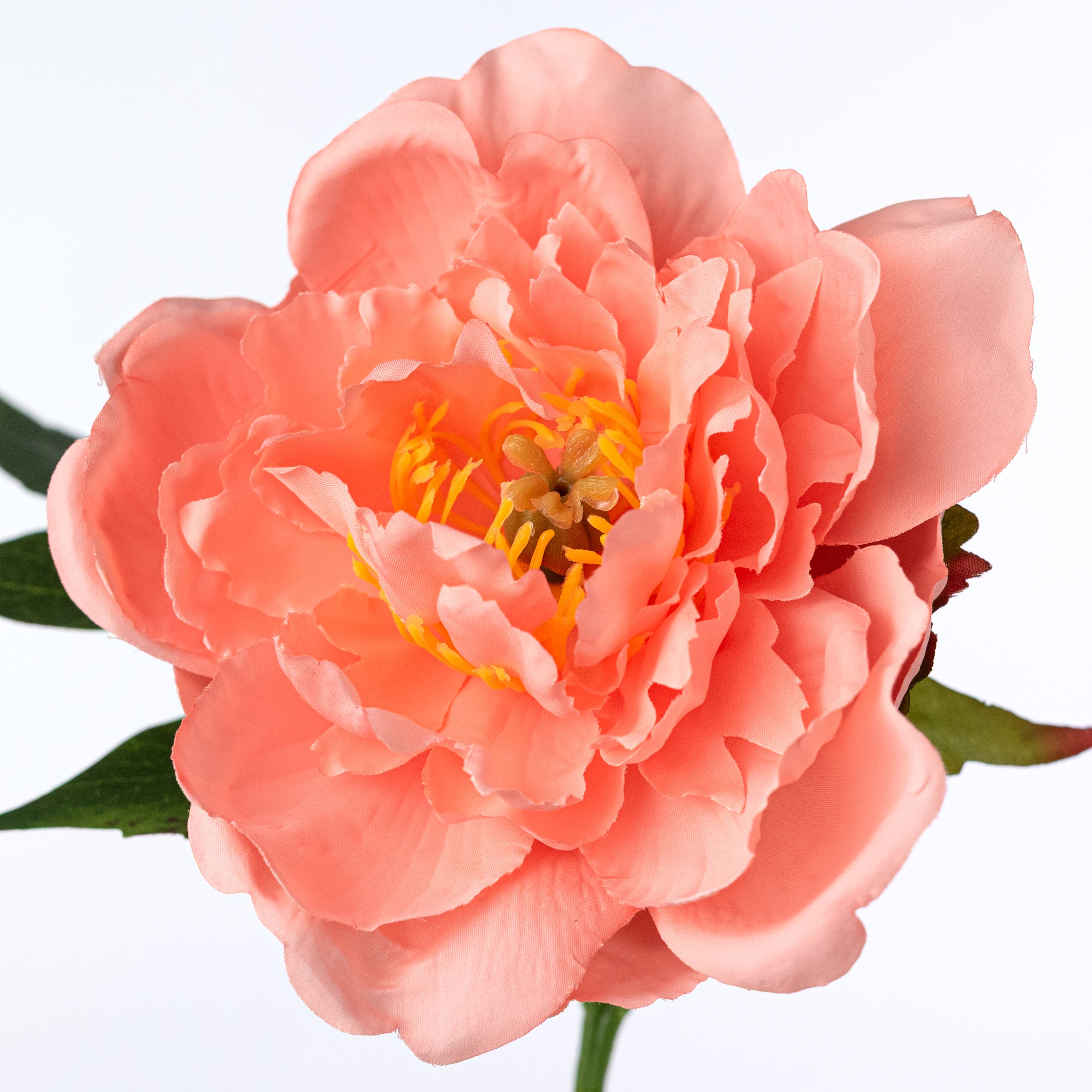 13" Short Stem Peony Flower: Coral Lifestyle Photo