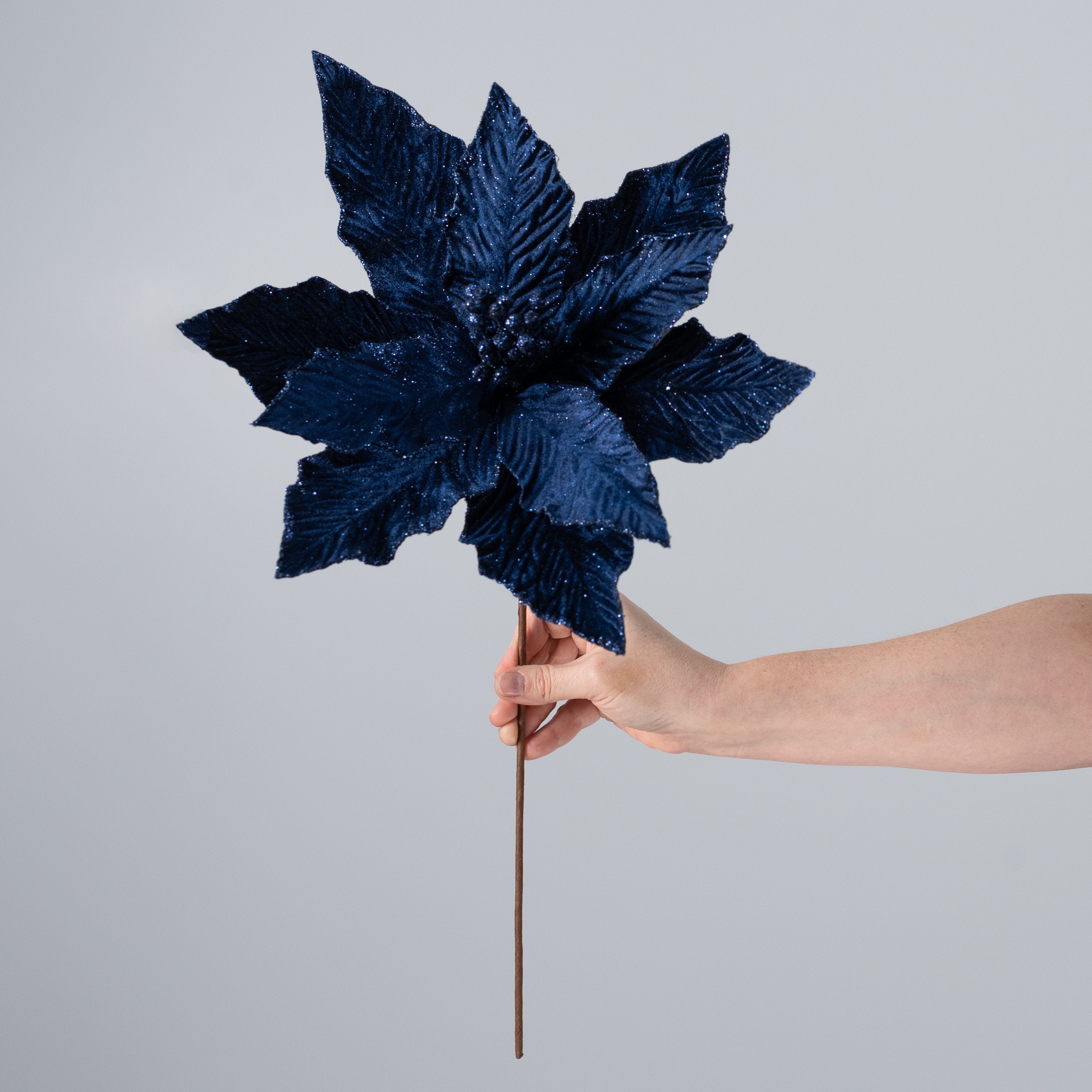14" x 16" Velvet Poinsettia Stem: Midnight Blue detail photo 3