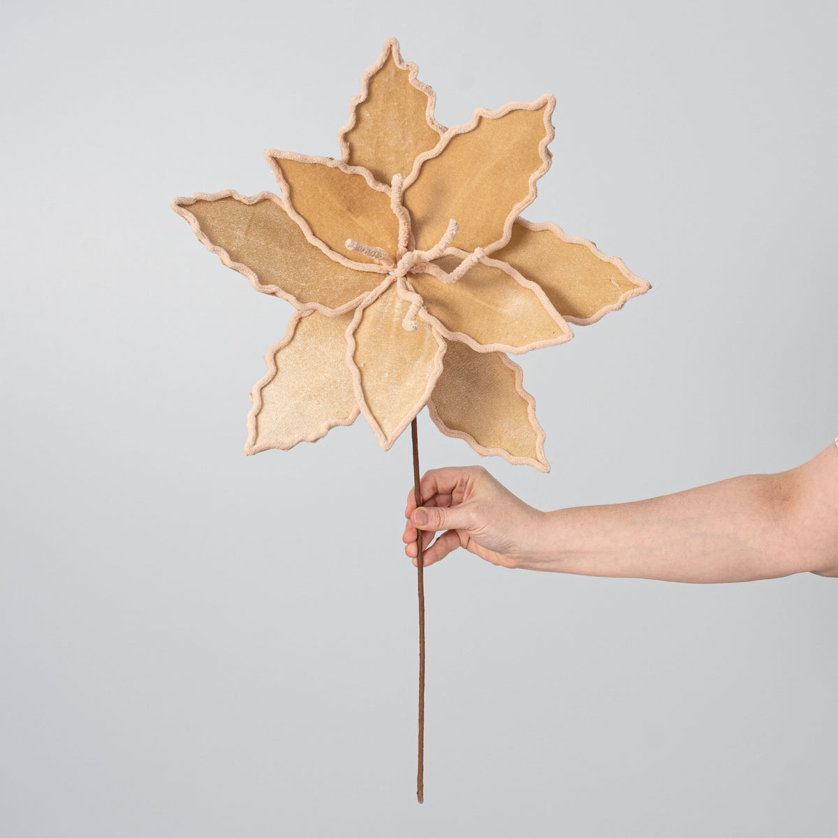14" x 24" Velvet Poinsettia Stem: Tan detail photo 3