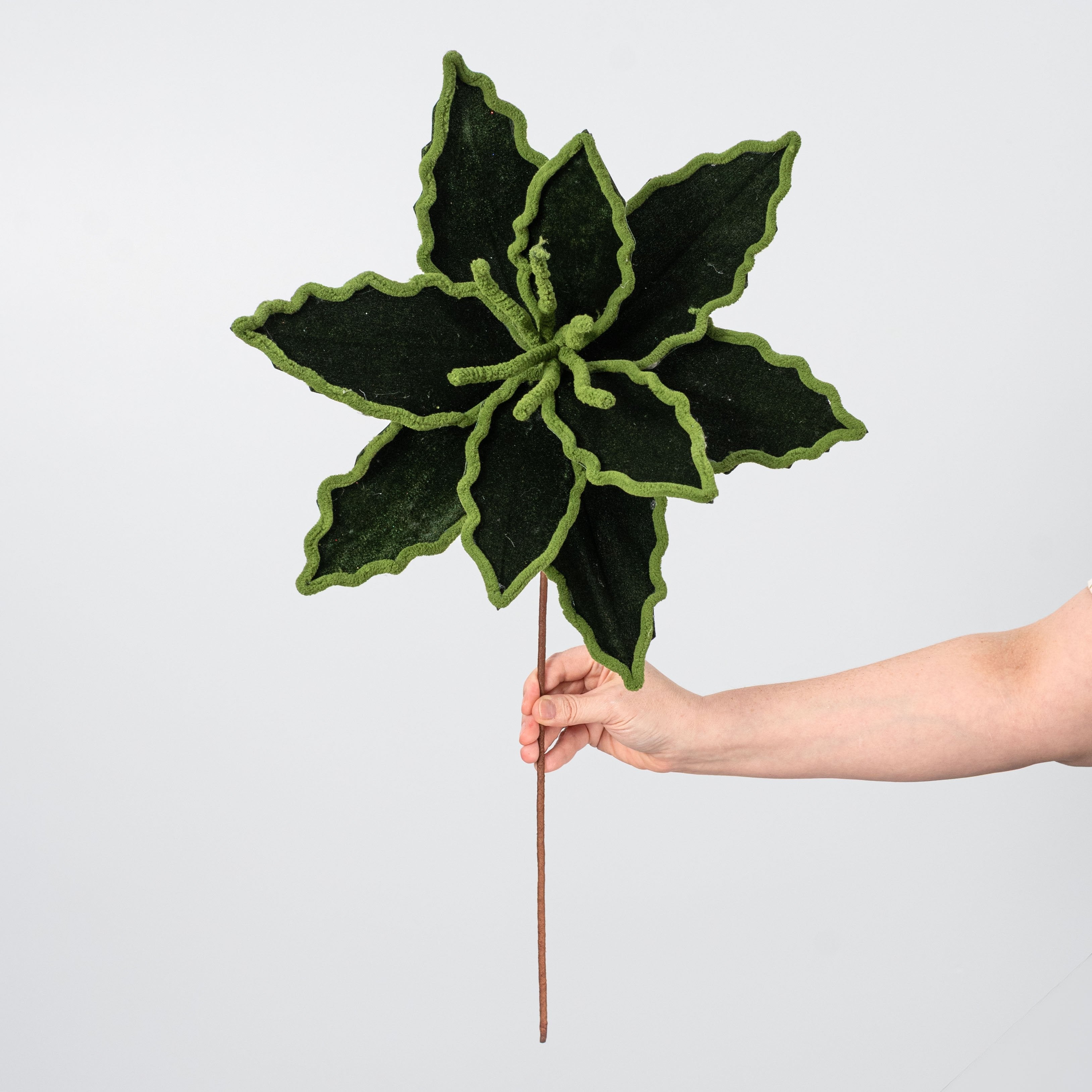 14" x 24" Velvet & Trim Poinsettia Stem: Forest Green detail photo 3