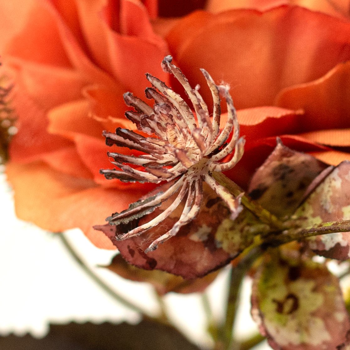 15" Mixed Rose & Foliage Bush: Orange & Brown (5 Stem) detail photo 4