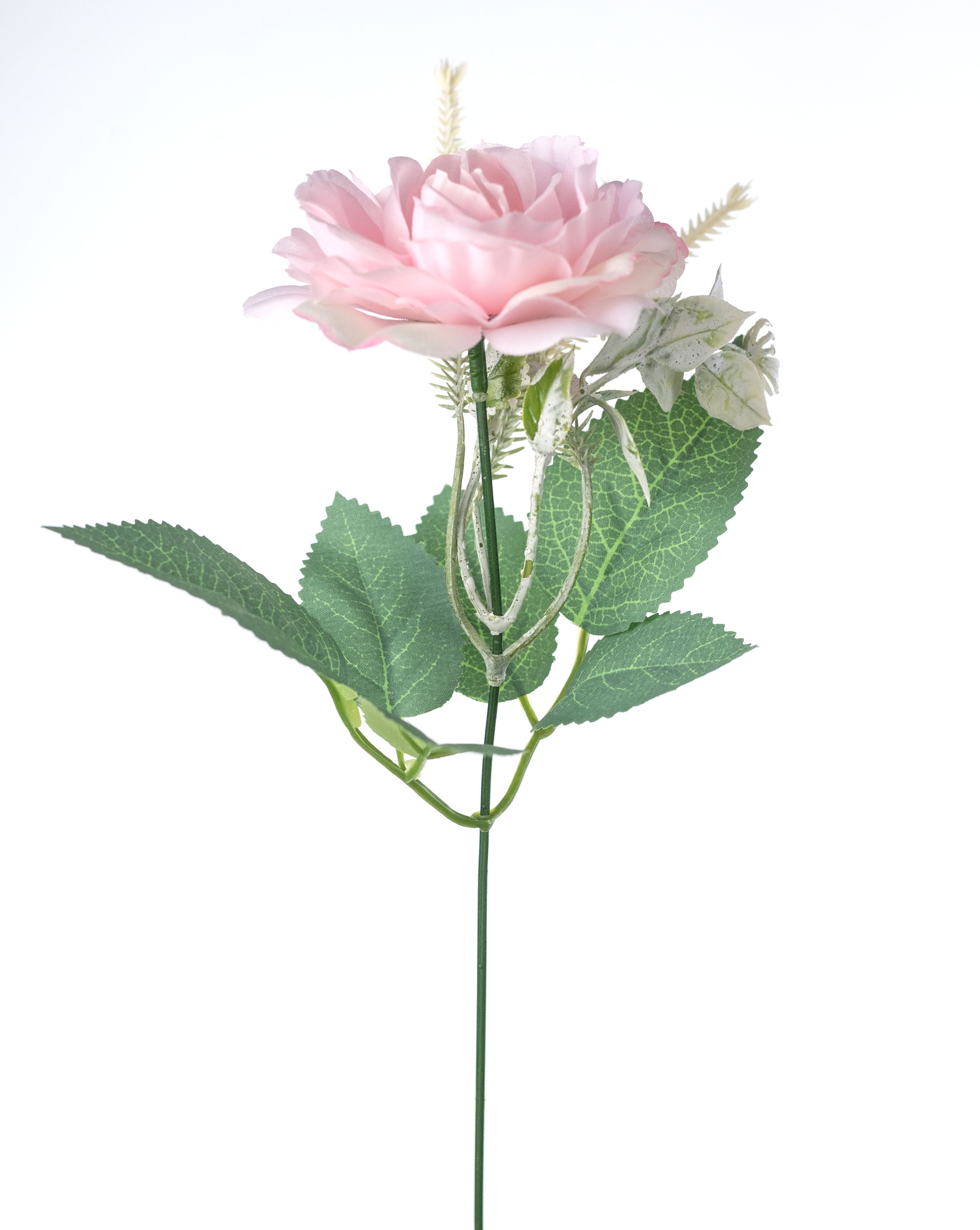 15" Roses Mix Bush: Blush Pink detail photo 5