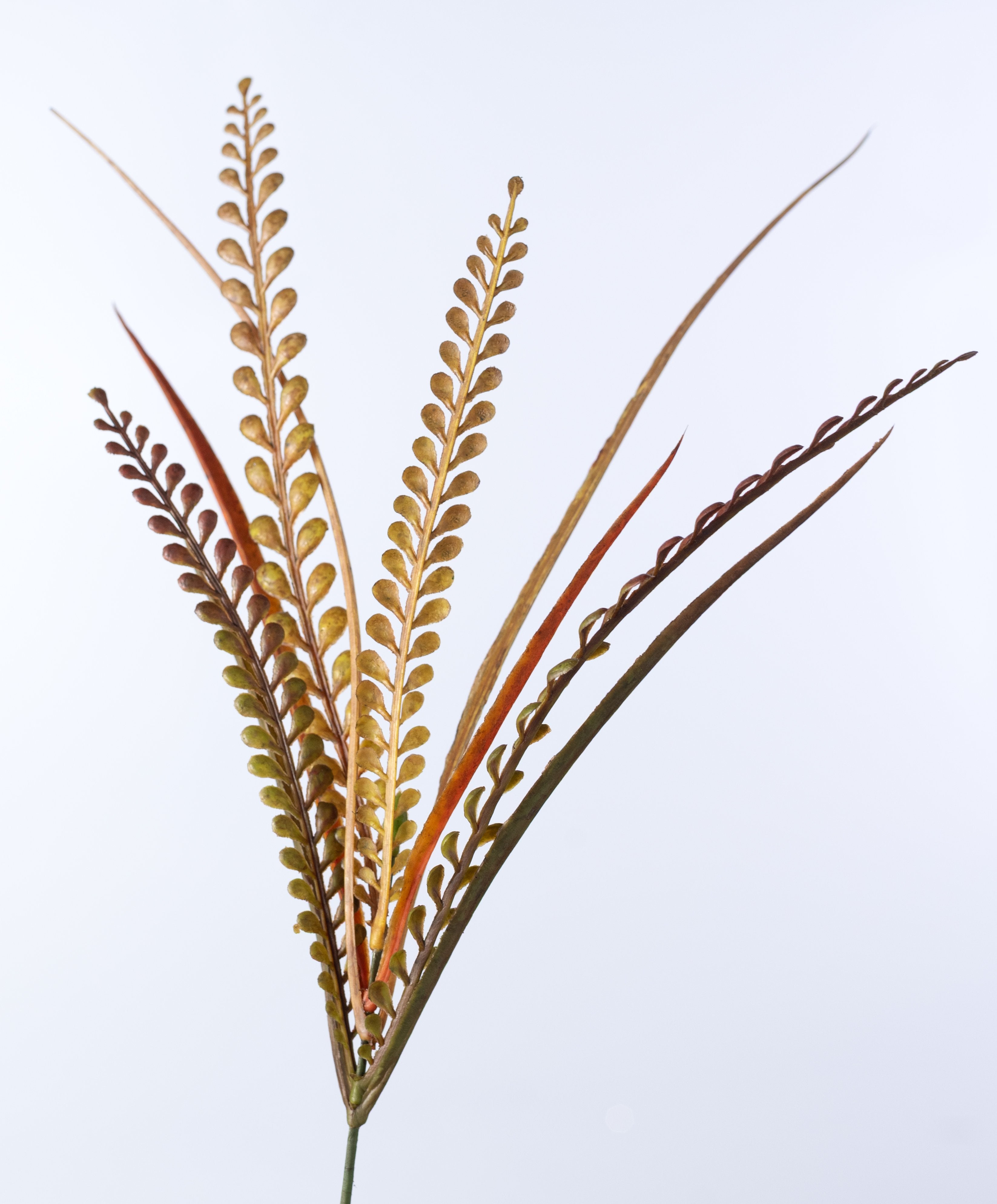 16" Plastic Mixed Grass & Button Fern Bush: Fall detail photo 4