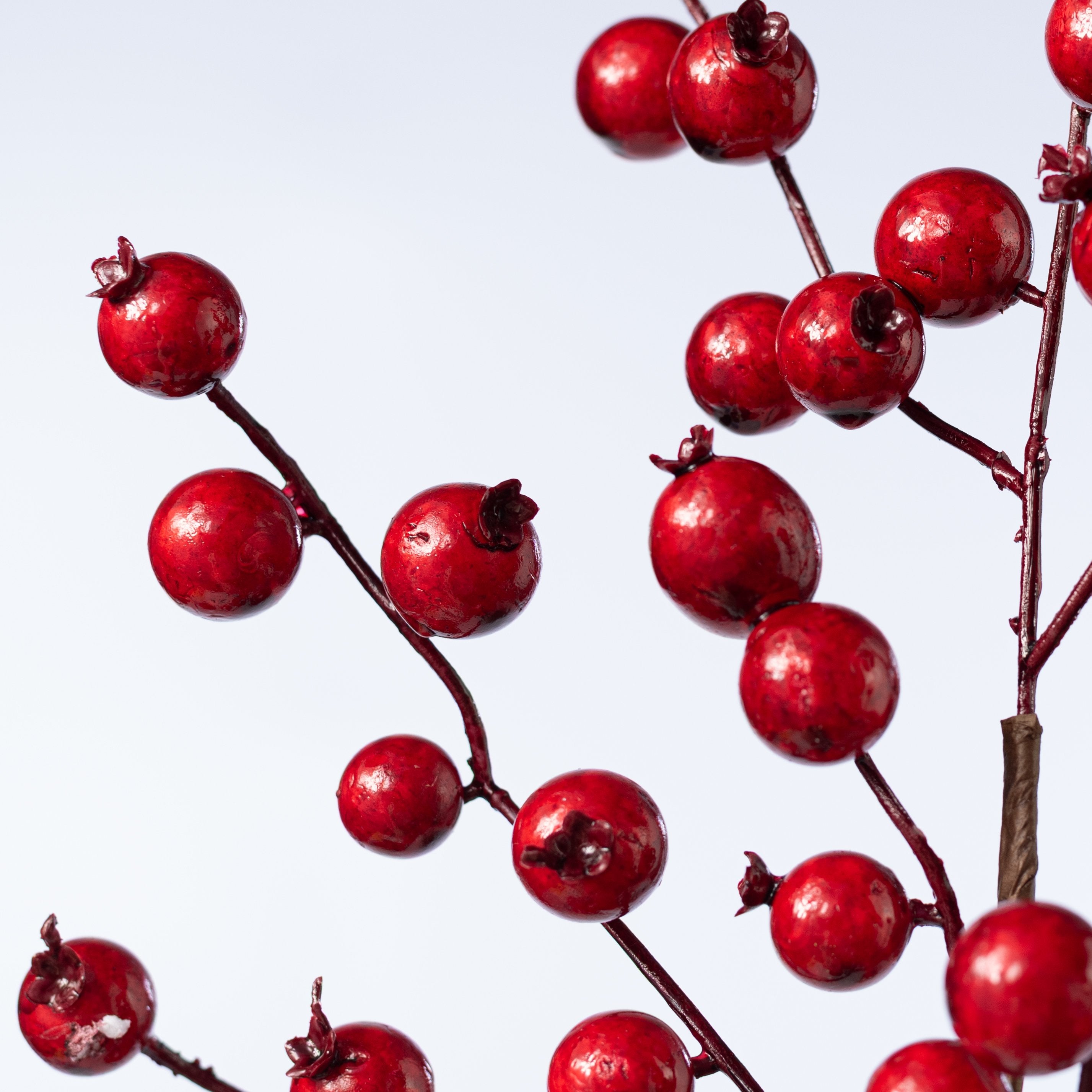 16" Weather Resistant Cranberry Pick: Red Lifestyle Photo
