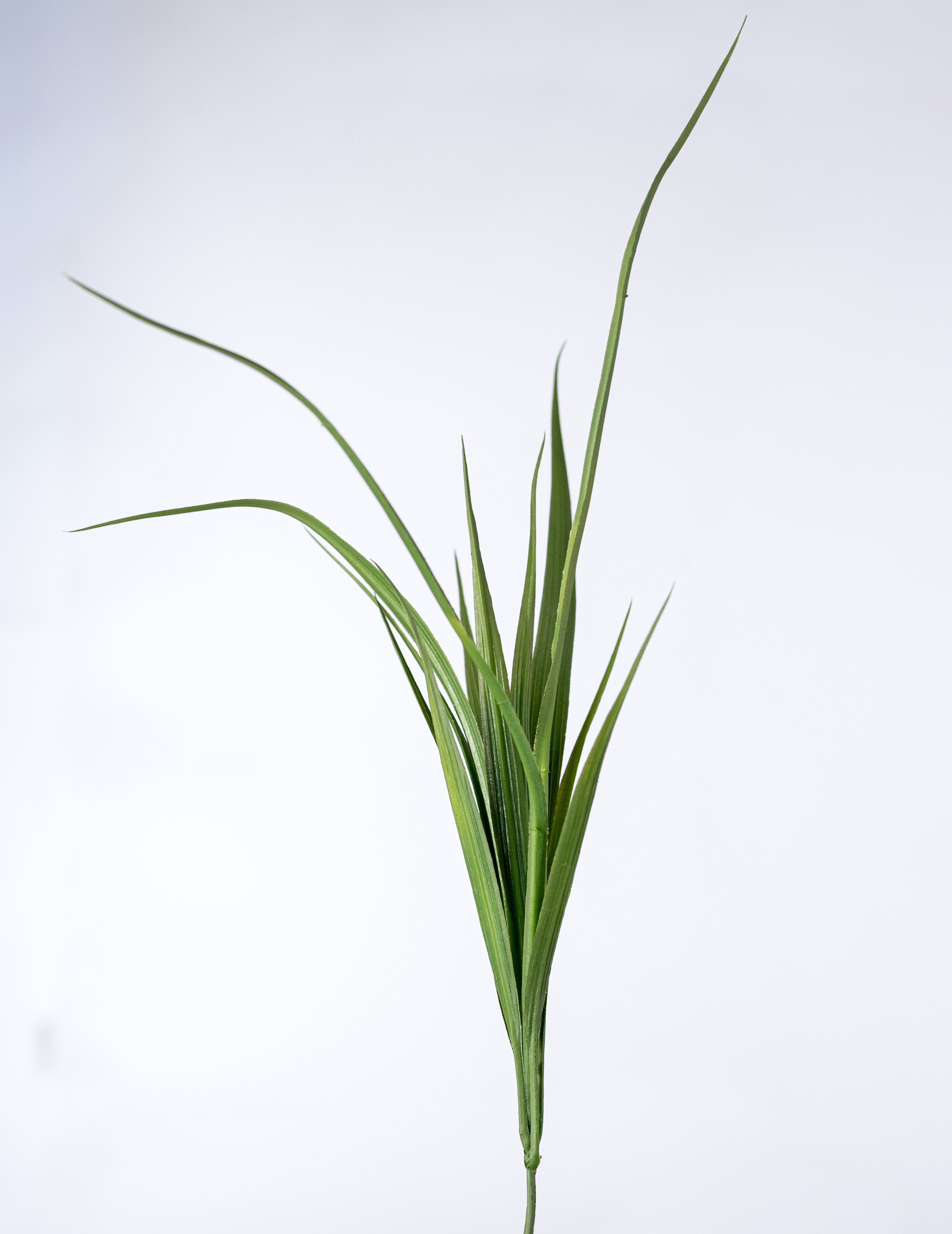 16" Wide-Grass Bush: Two-Tone Green detail photo 4