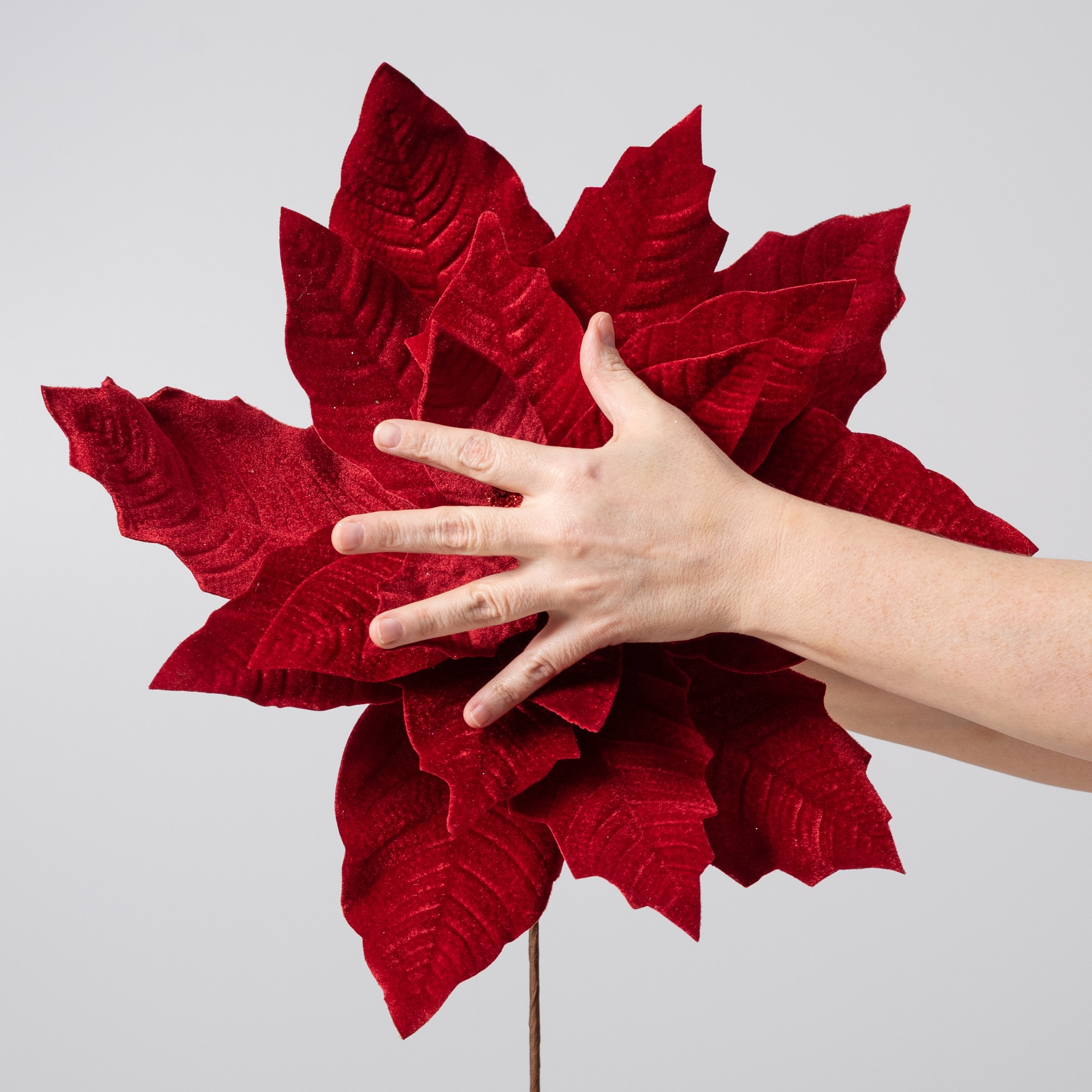 17" x 20" Jumbo Poinsettia Stem: Holiday Red Lifestyle Photo