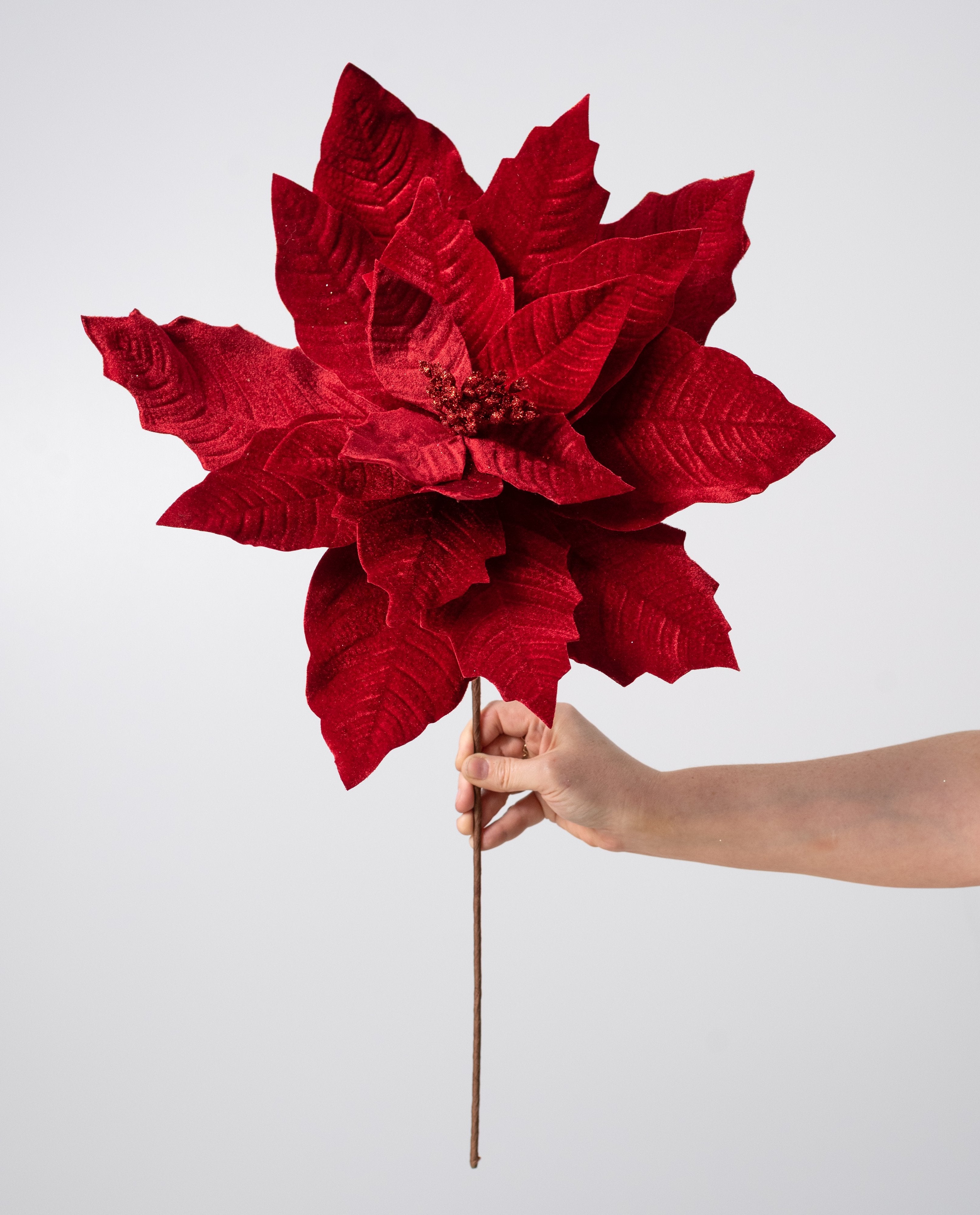17" x 20" Jumbo Poinsettia Stem: Holiday Red detail photo 3