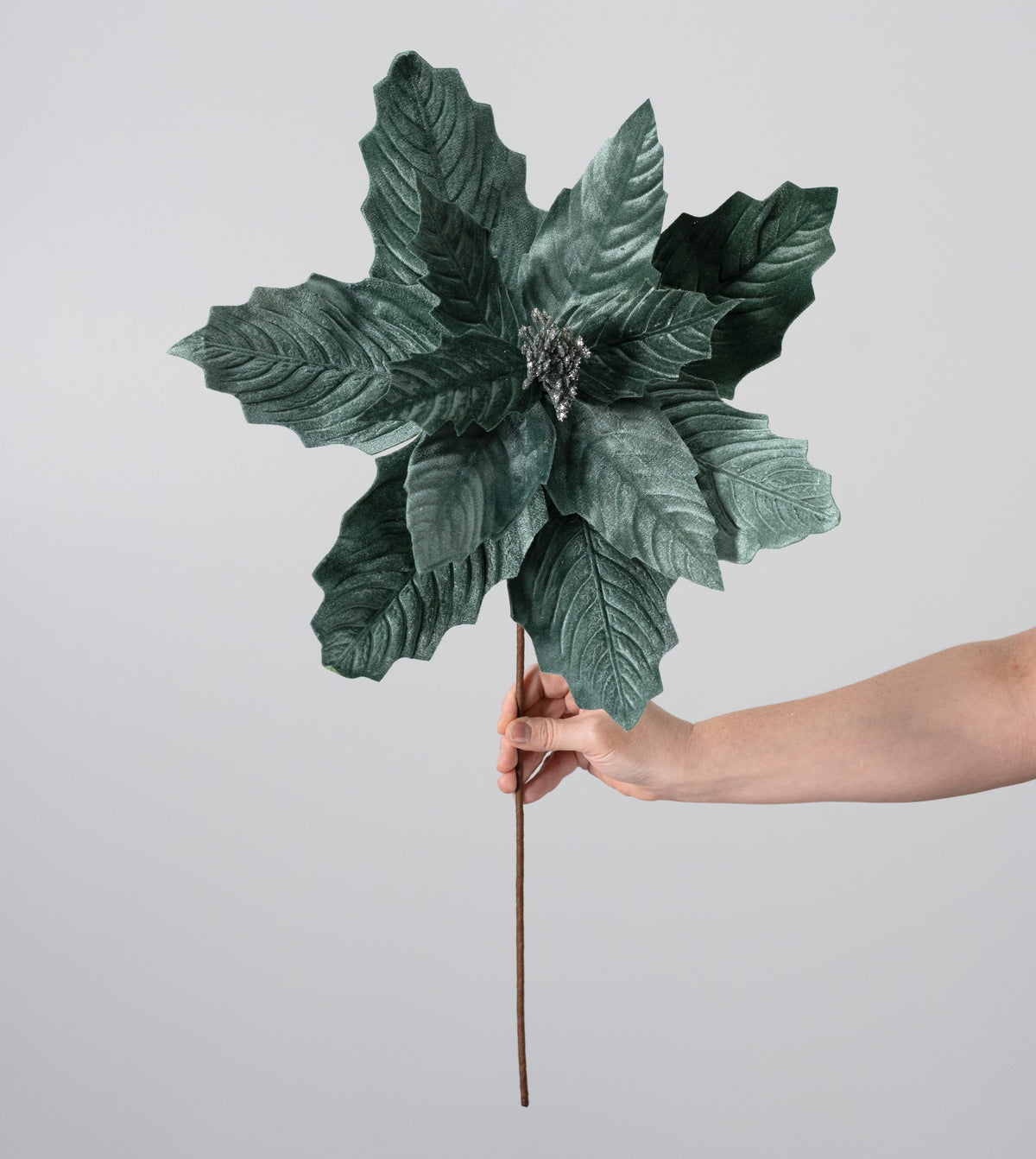 17" x 20" Jumbo Velvet Poinsettia Stem: Sage Green detail photo 3
