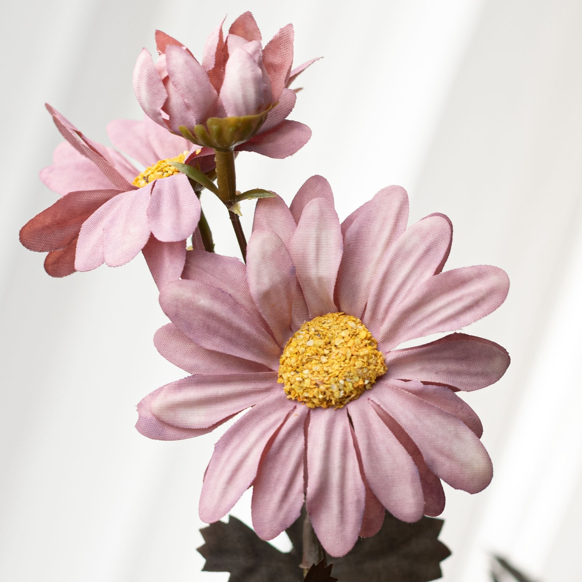 17" Chrysanthemum Bush: Mauve Pink (12 Stem) Lifestyle Photo