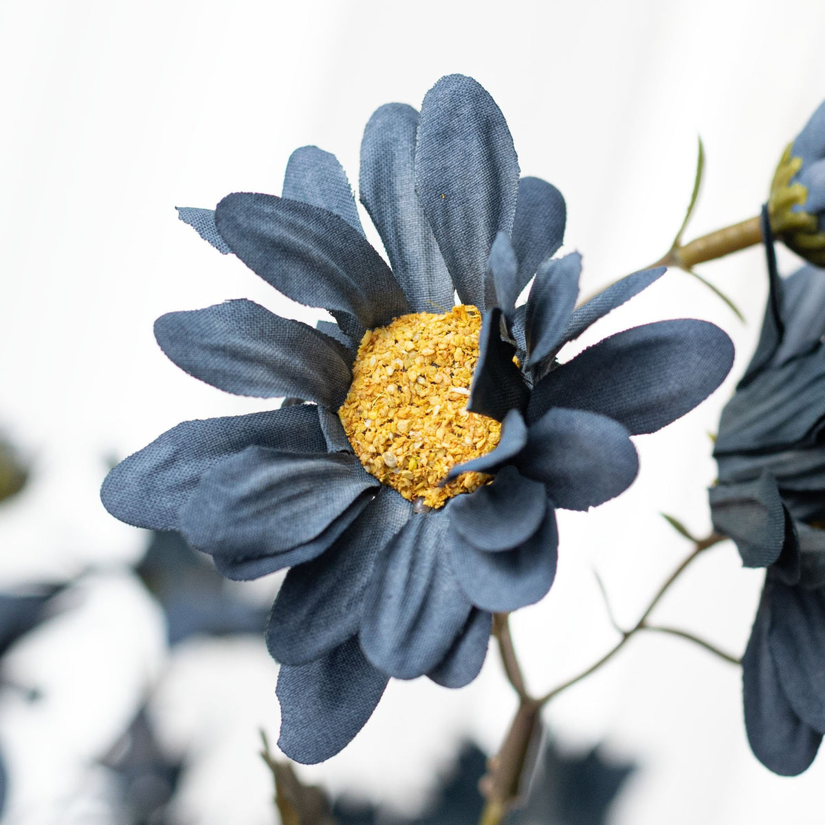 17" Chrysanthemum Bush: Smoke Blue (12 Stem) Lifestyle Photo