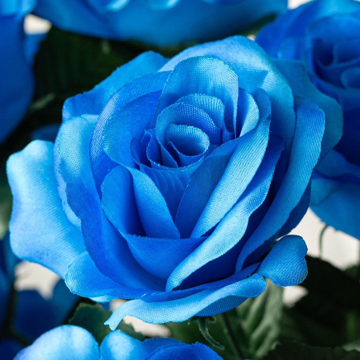 17" Colorfast Lillian Open Rose Bush: Azure Blue Lifestyle Photo