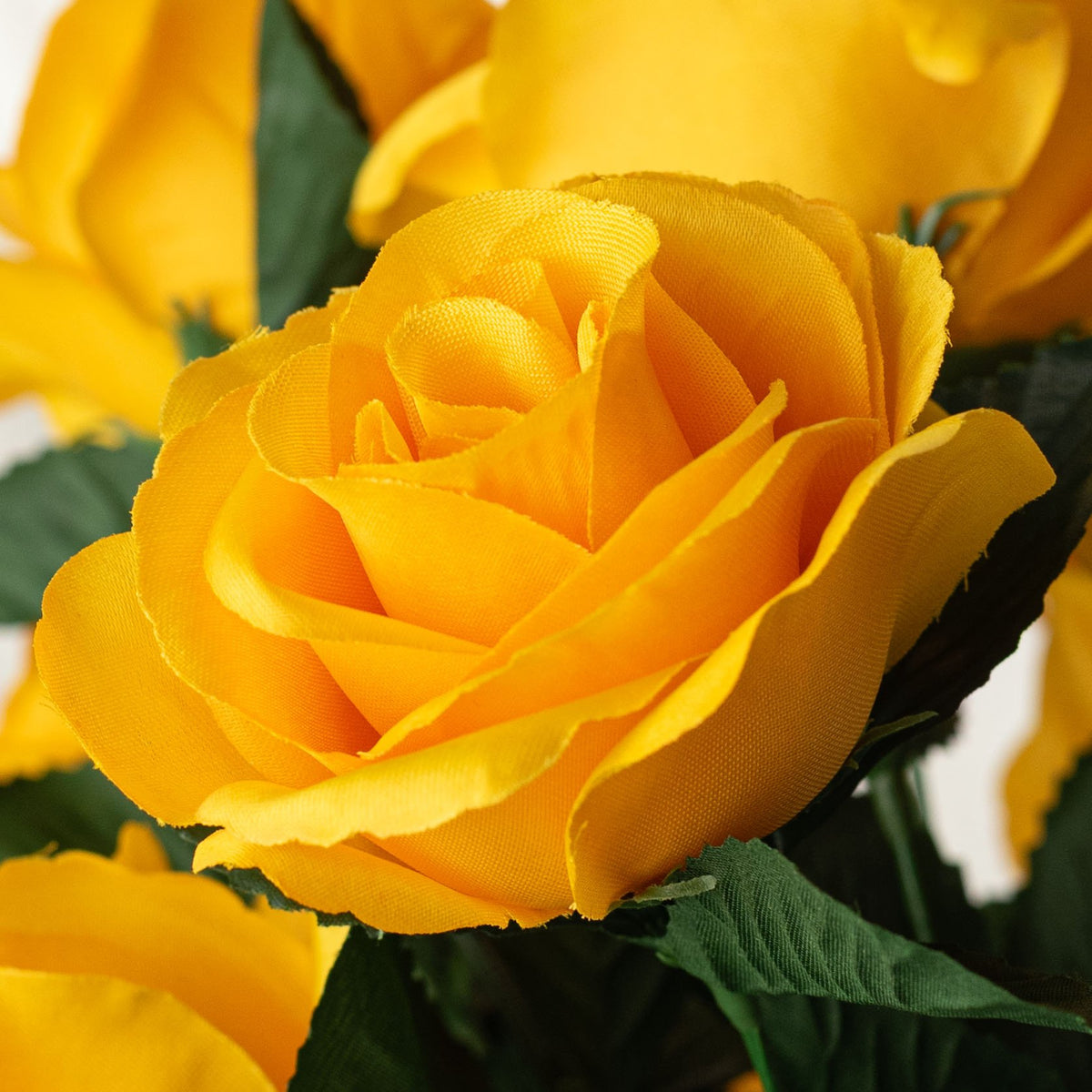 17" Colorfast Lillian Open Rose Bush: Golden Yellow Lifestyle Photo