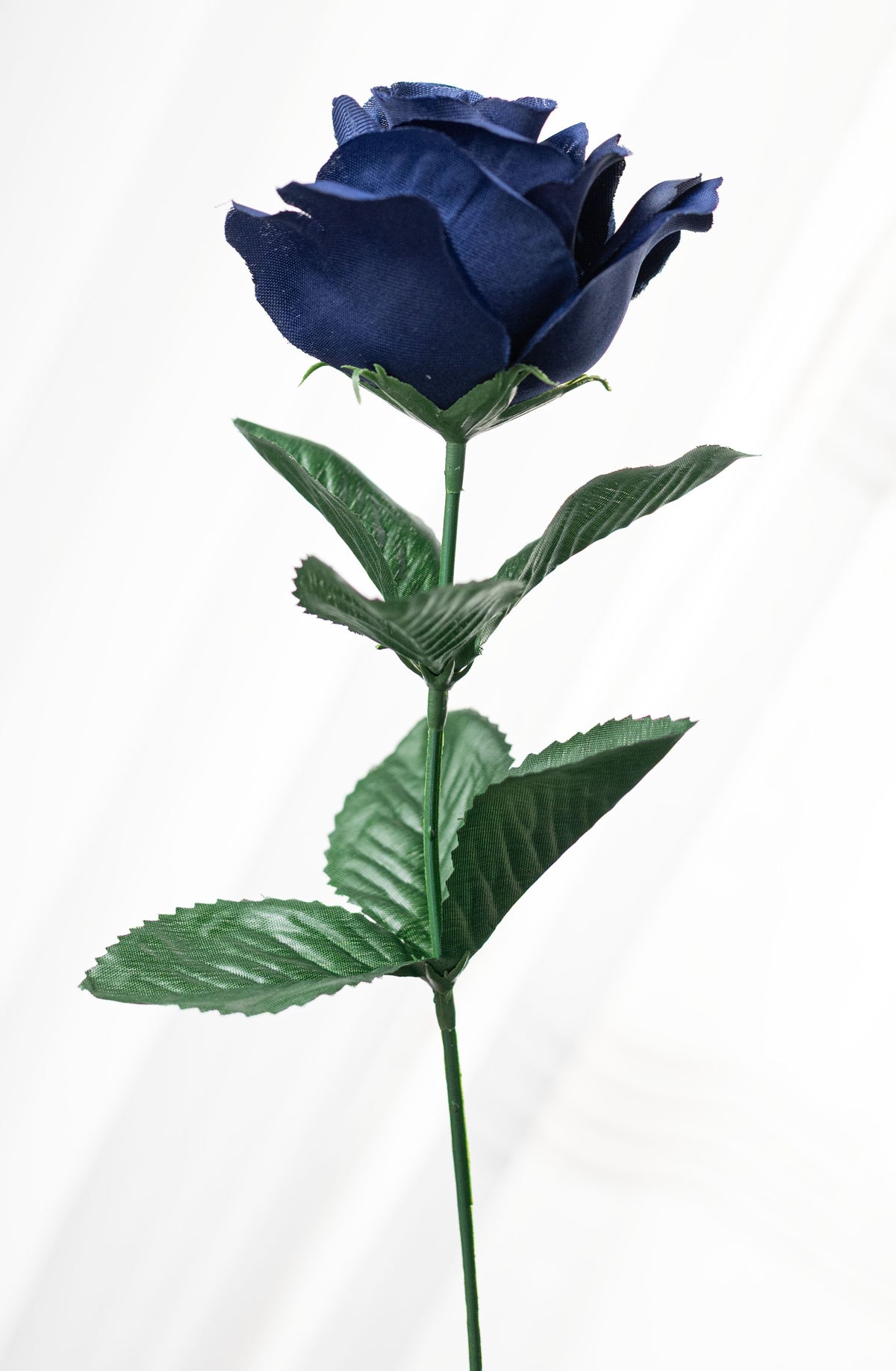 17" Colorfast Lillian Open Rose Bush: Navy Blue (12 Stem) detail photo 4