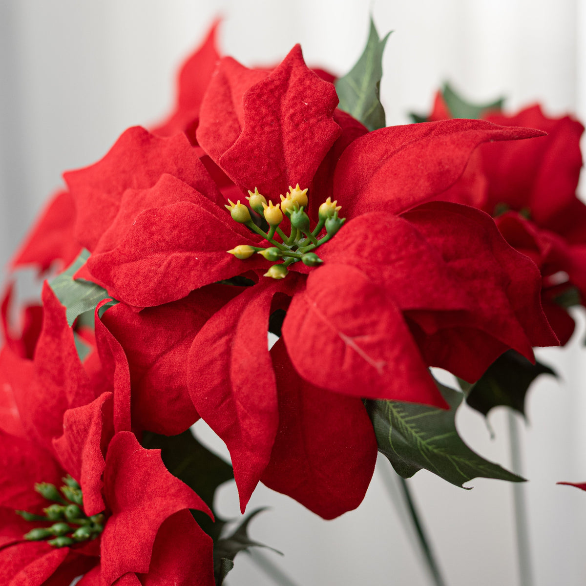 17" Velvet Poinsettia Bush: Red (7 Stem) Lifestyle Photo