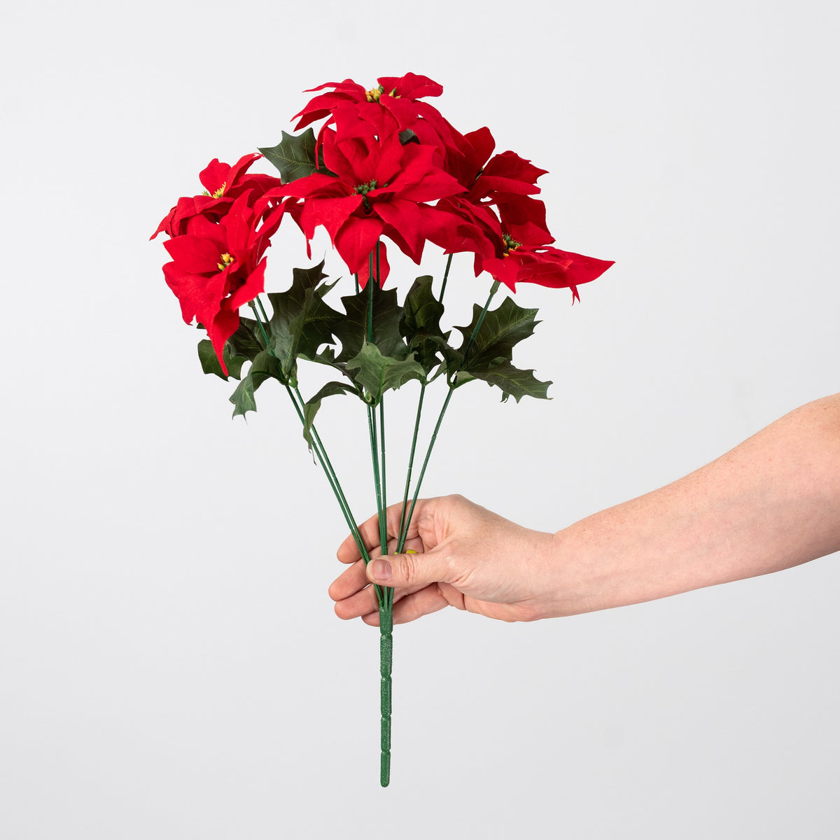 17" Velvet Poinsettia Bush: Red (7 Stem) detail photo 3