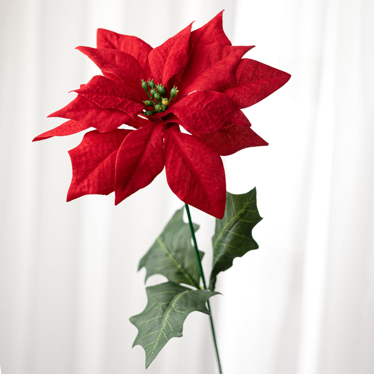 17" Velvet Poinsettia Bush: Red (7 Stem) detail photo 4