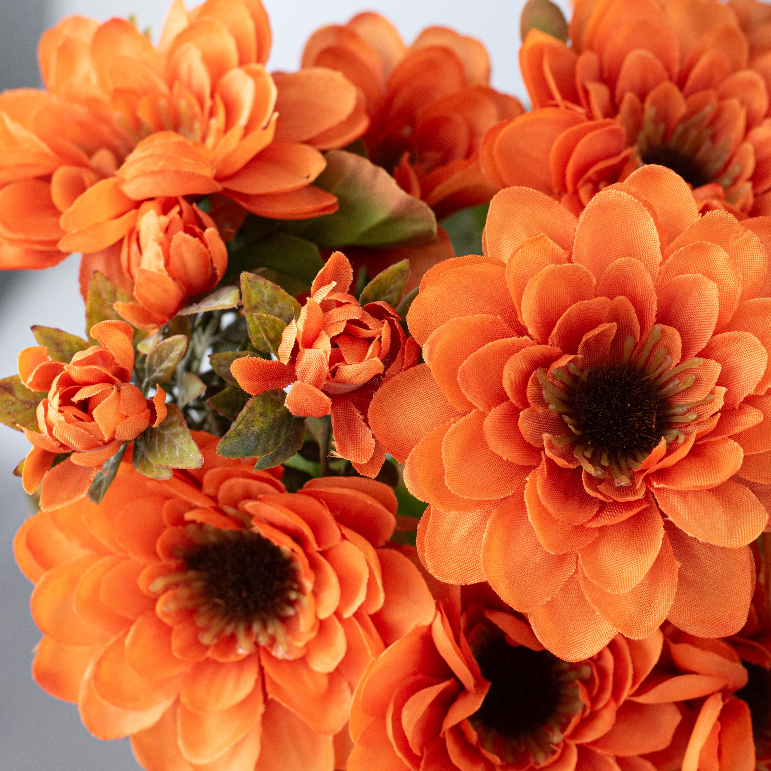 17" Zinnia Bush: Orange (12 Stem) Lifestyle Photo
