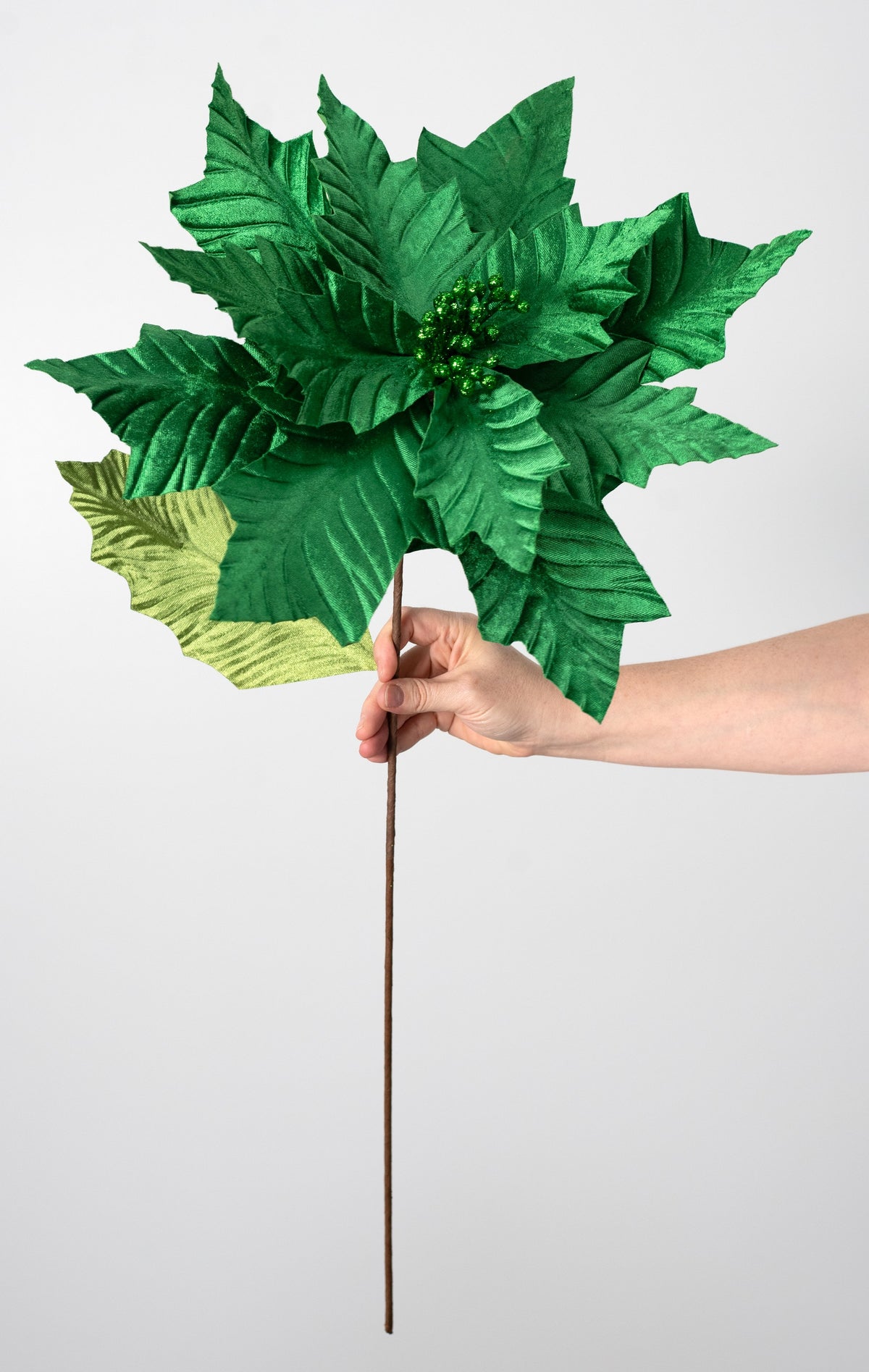 18" x 24" Jumbo Poinsettia Stem: Emerald Green detail photo 4