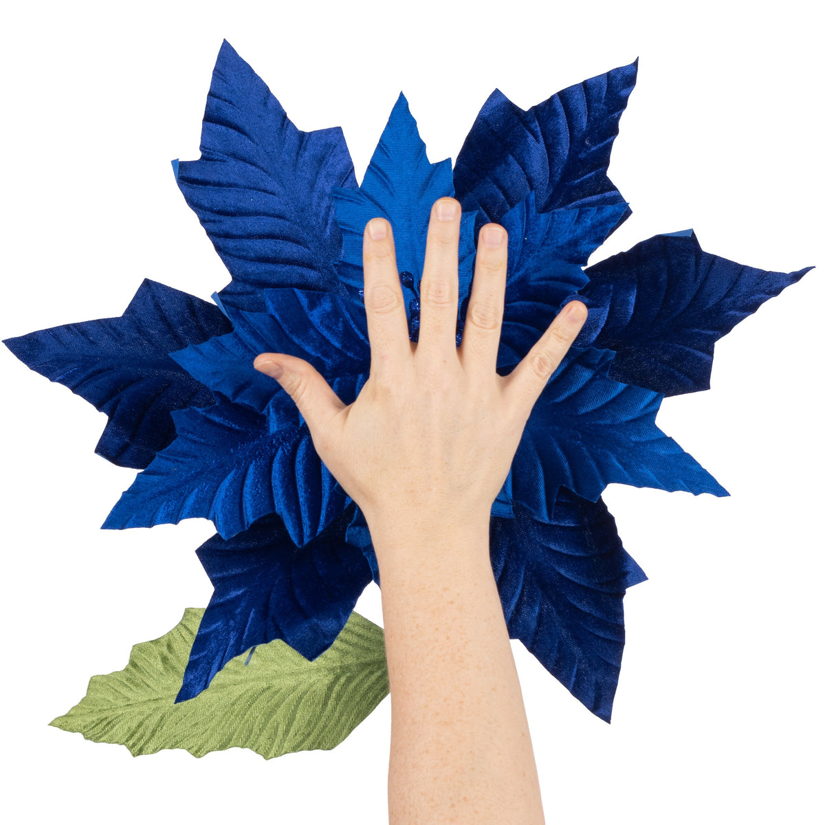 18" x 24" Jumbo Poinsettia Stem: Royal Blue Lifestyle Photo