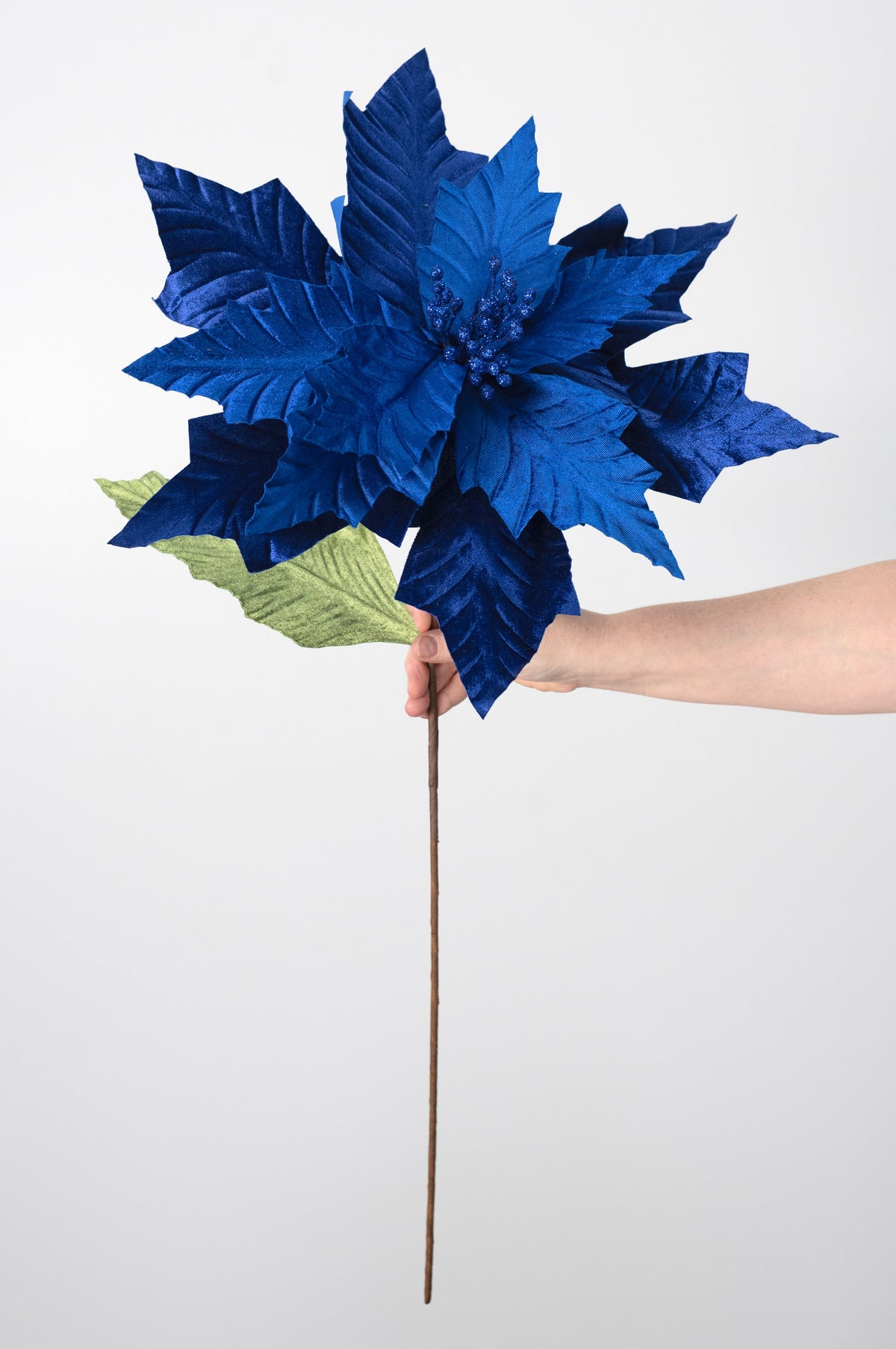 18" x 24" Jumbo Poinsettia Stem: Royal Blue detail photo 4