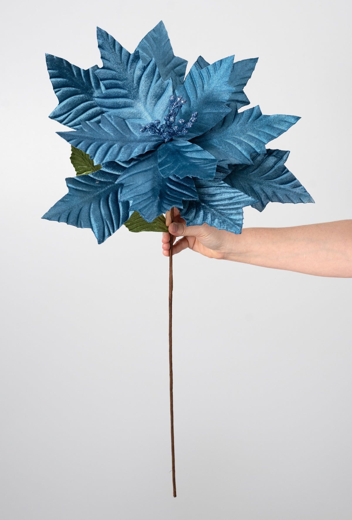 18" x 24" Jumbo Poinsettia Stem: Smoke Blue detail photo 4