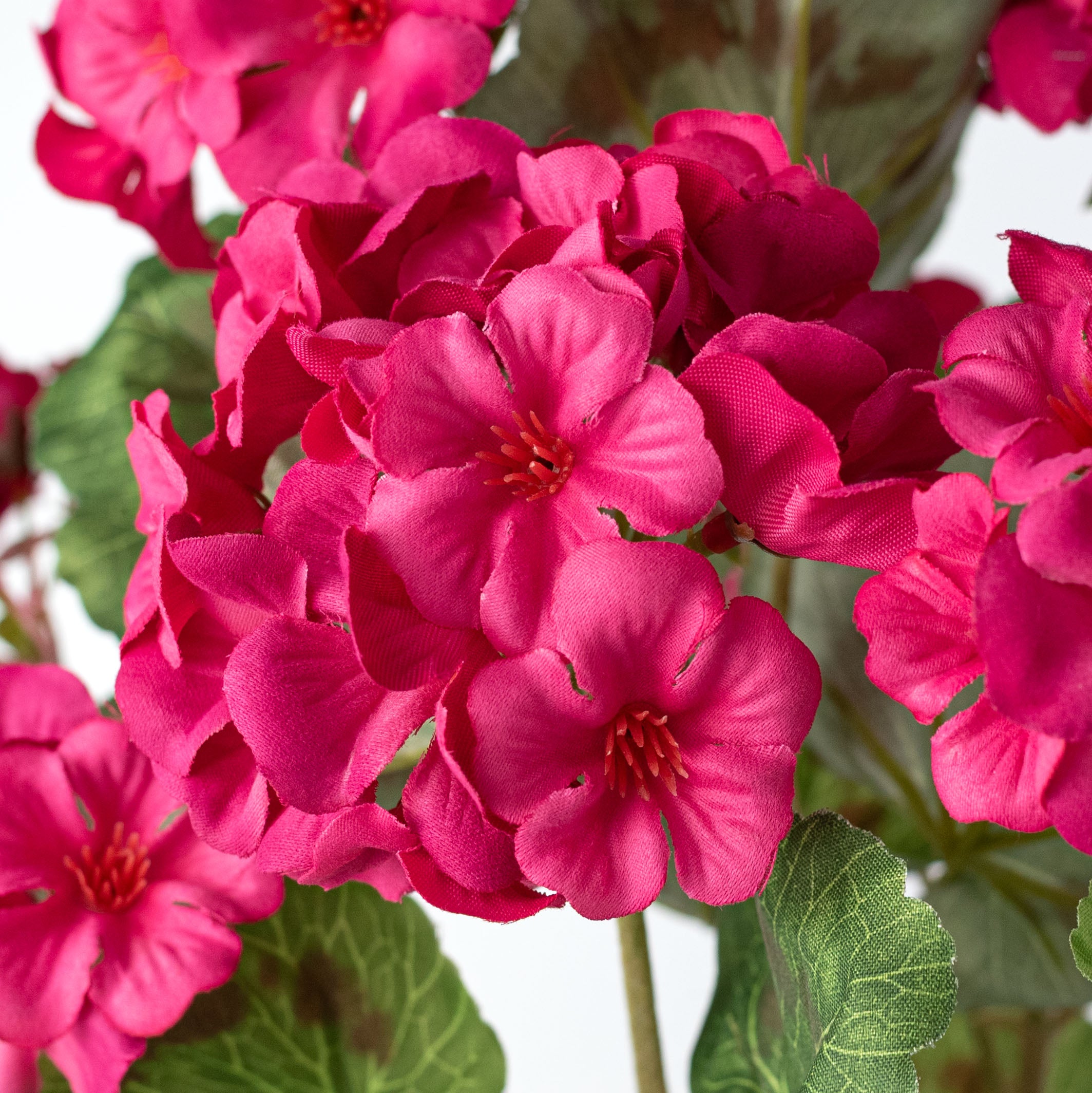 18" Artificial Geranium Bush: Magenta Pink (7 Stem) Lifestyle Photo