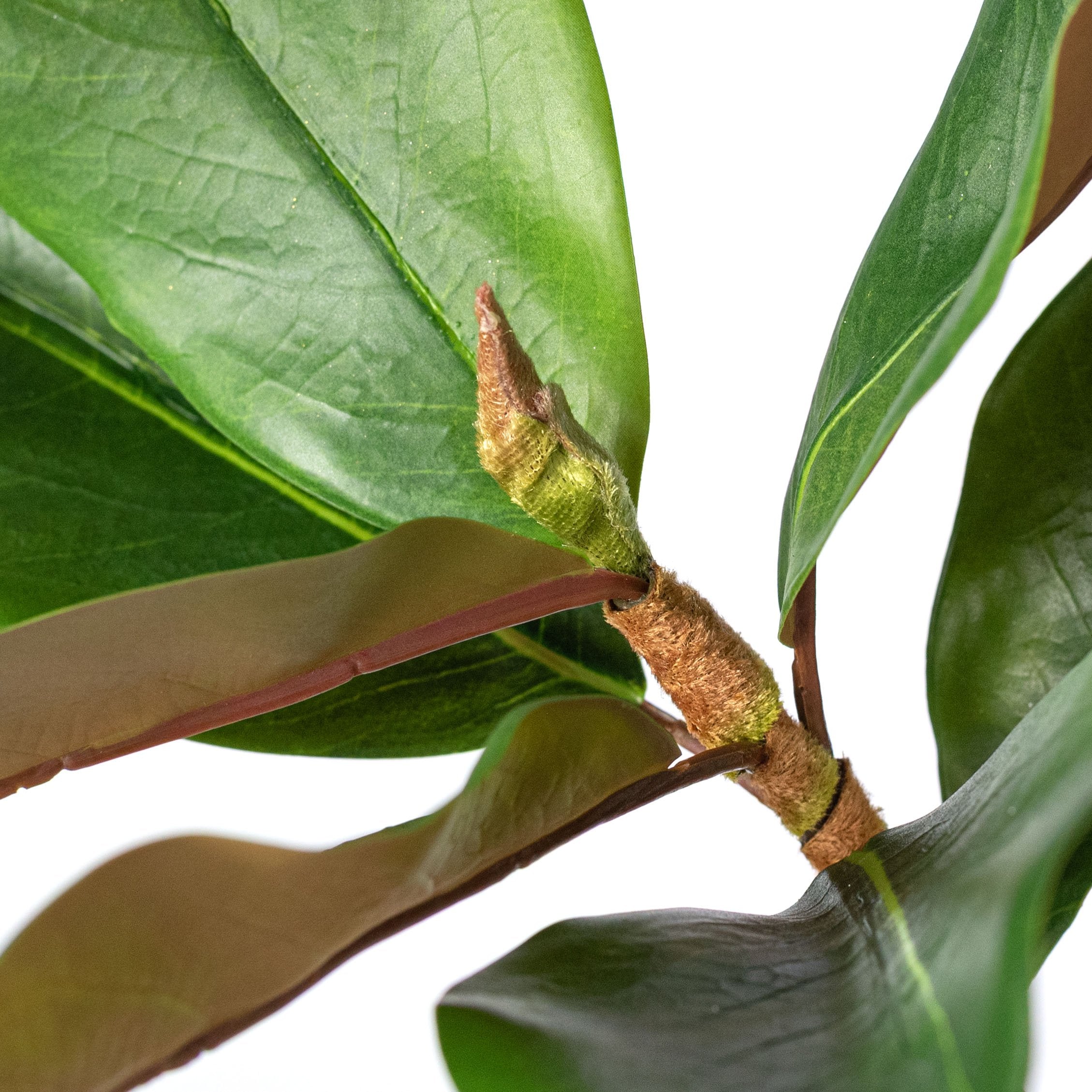 18" Artificial Magnolia Leaf Spray: Green Lifestyle Photo