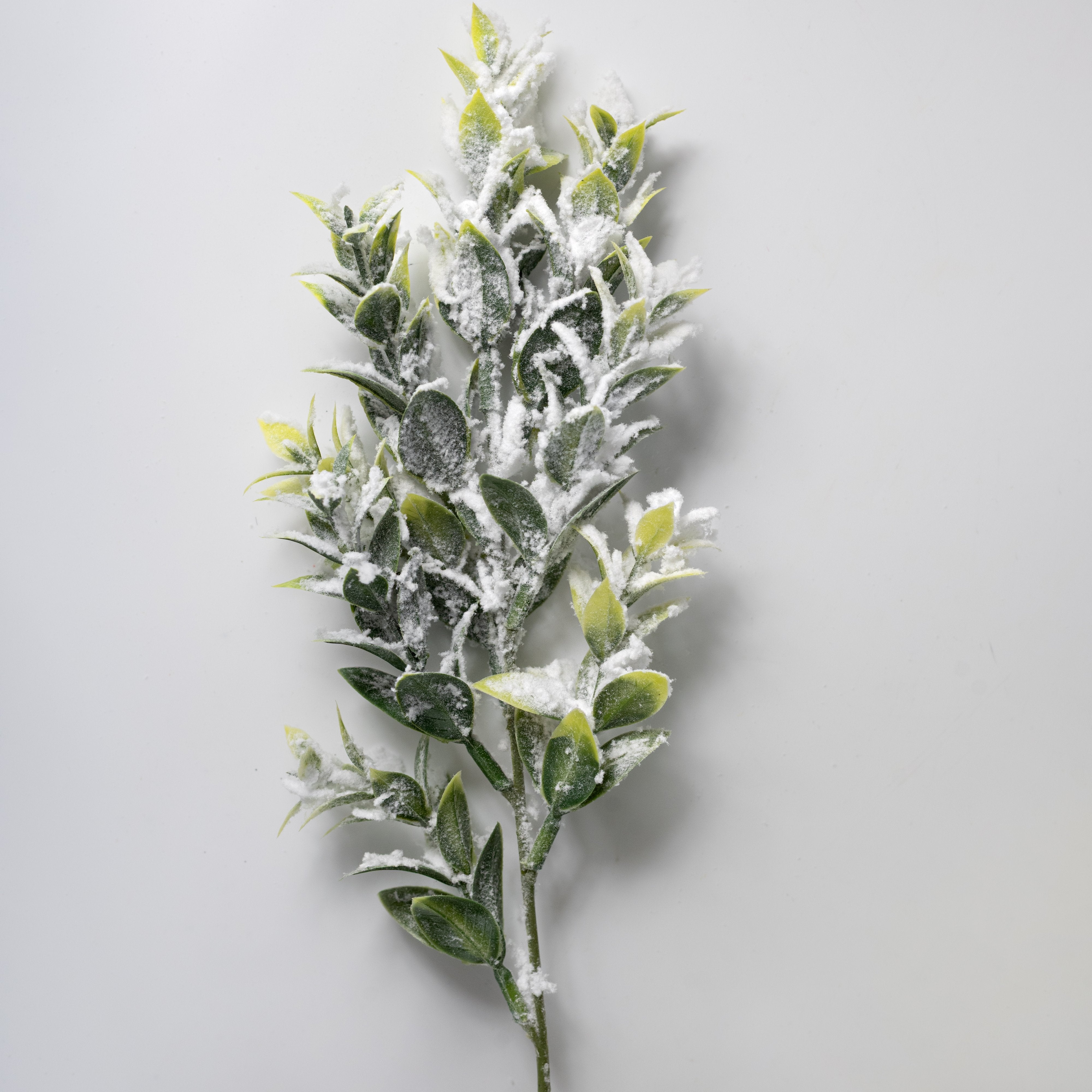 18" Flocked Tea Leaf Bush (7 Stem) detail photo 4