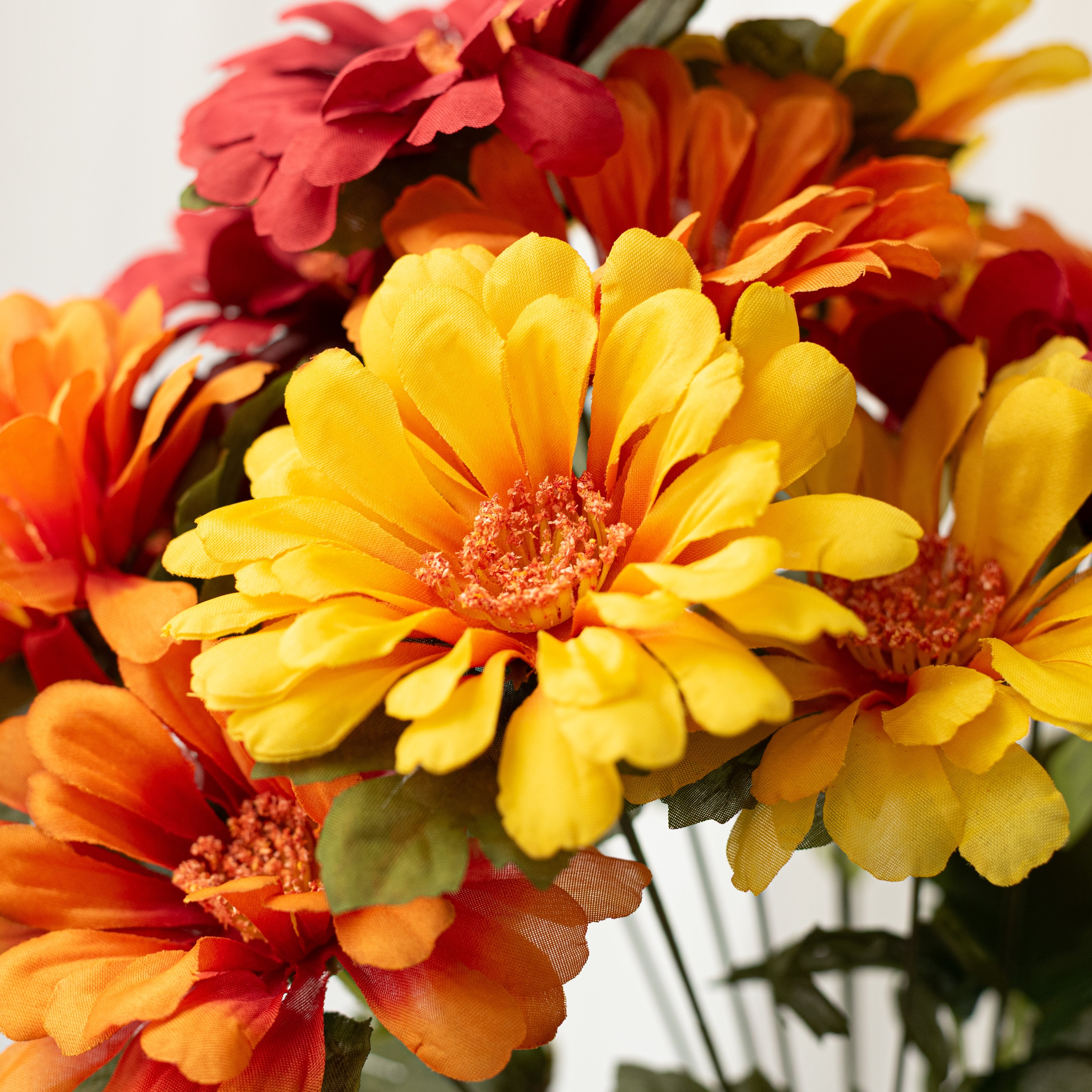 18" Gerbera Daisy Bush: Yellow, Orange & Red (12 Stem) Lifestyle Photo