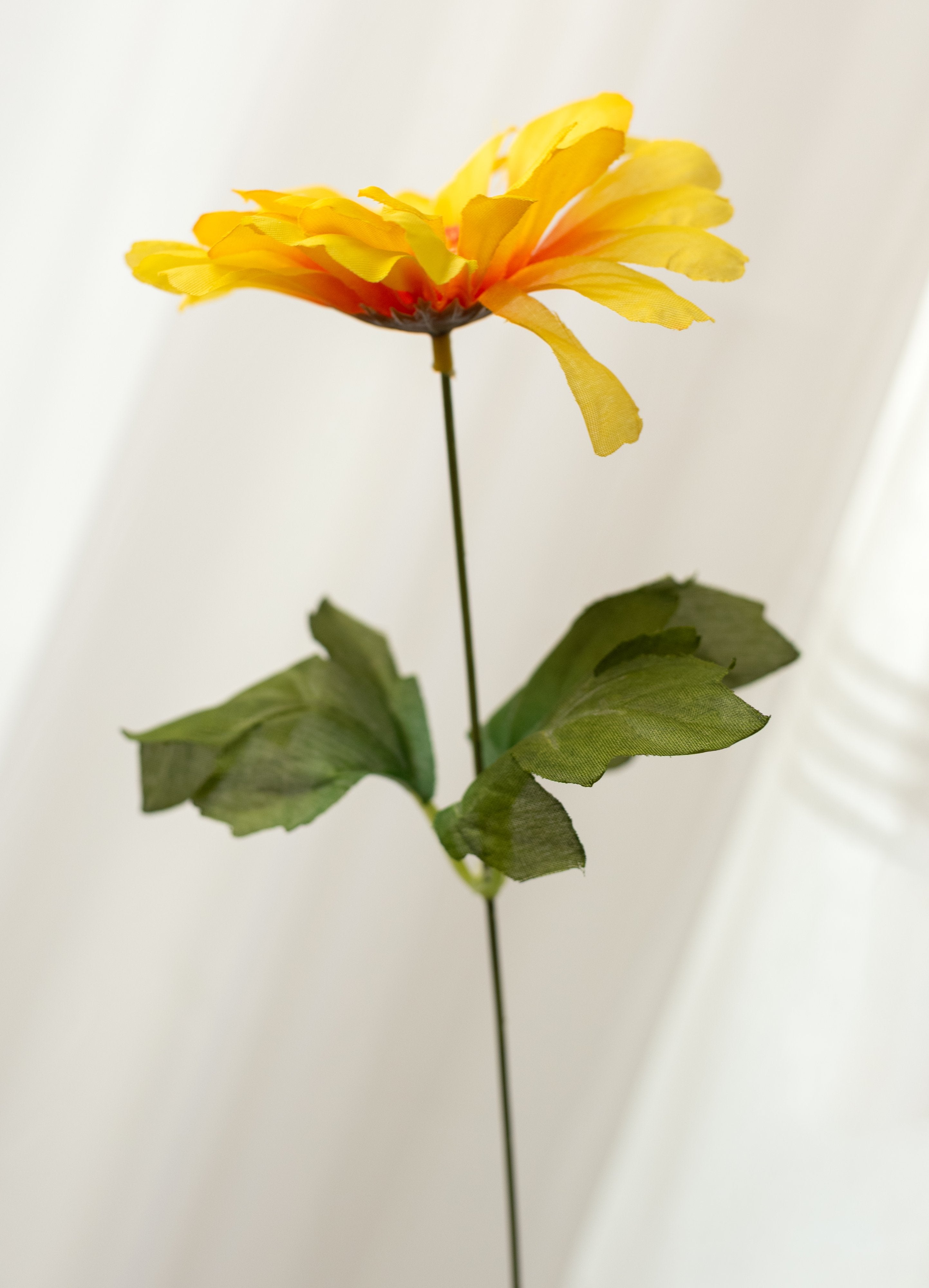 18" Gerbera Daisy Bush: Yellow, Orange & Red (12 Stem) detail photo 4