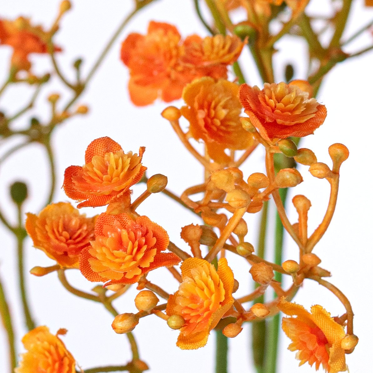 18" Gypso Baby's Breath Spray: Orange Lifestyle Photo