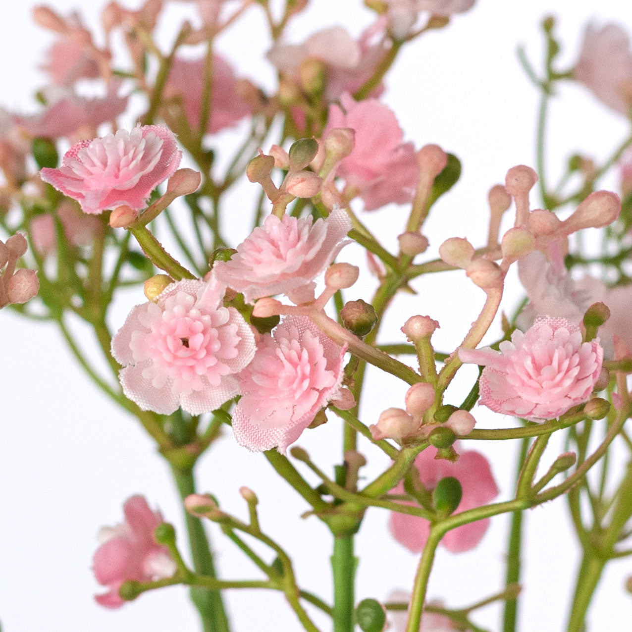 18" Gypso Baby's Breath Spray: Pink Lifestyle Photo