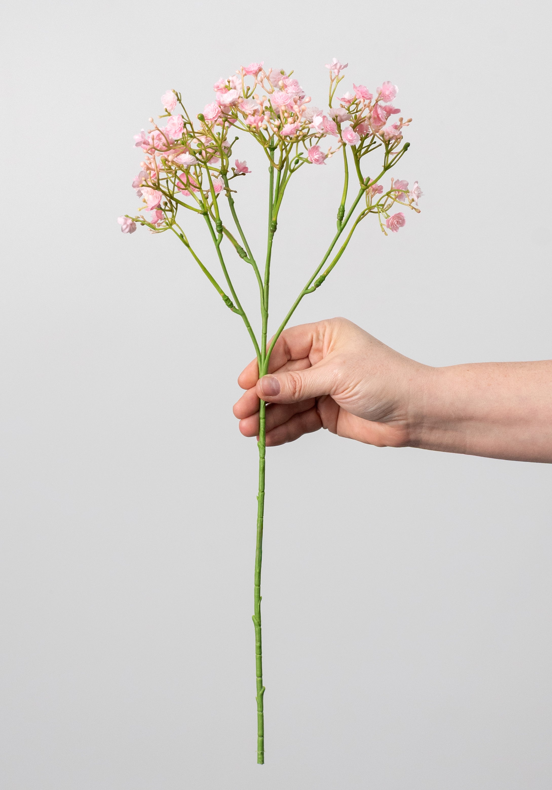 18" Gypso Baby's Breath Spray: Pink detail photo 3