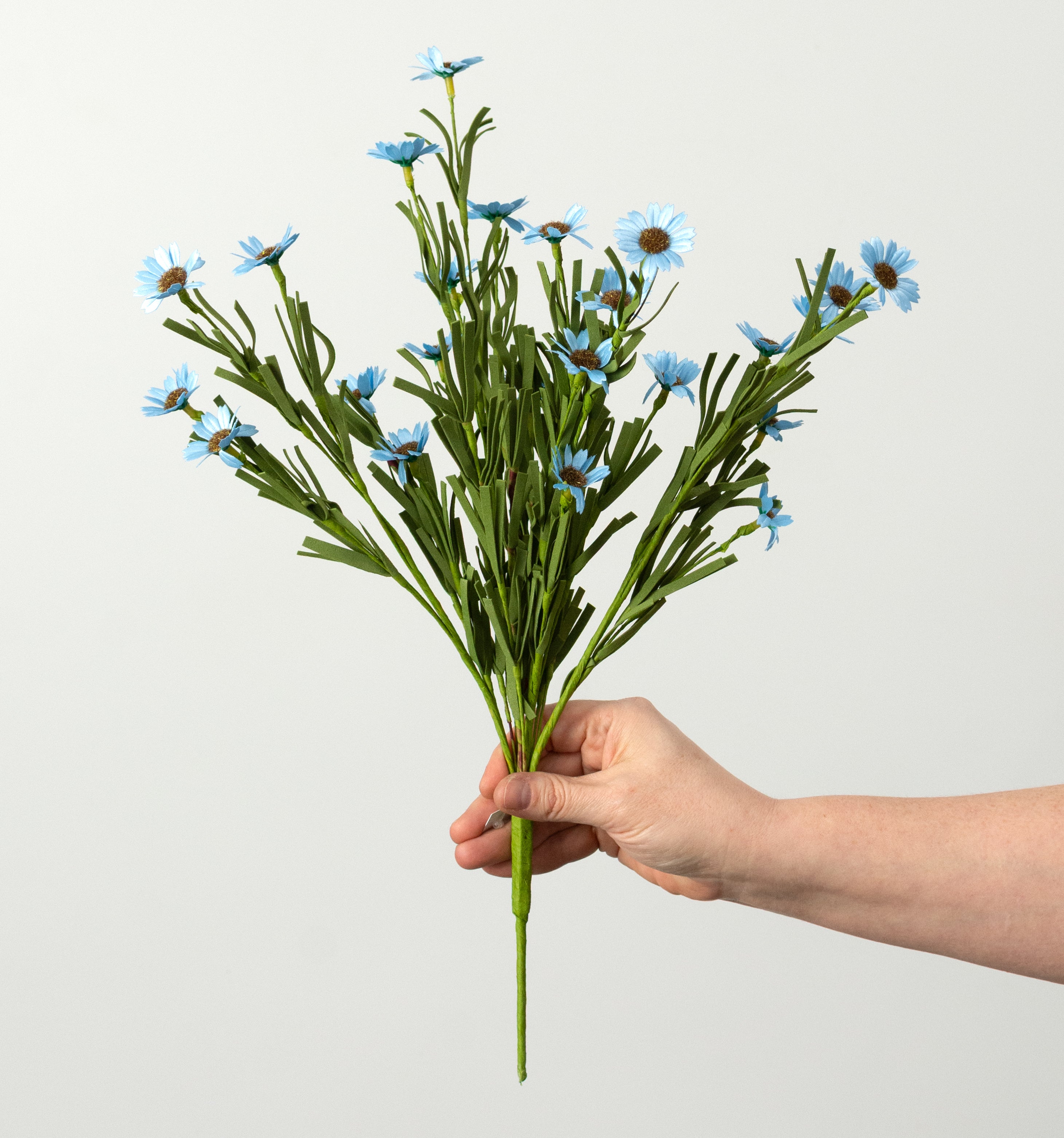 18" Mini Mountain Daisy Bush: Blue detail photo 3
