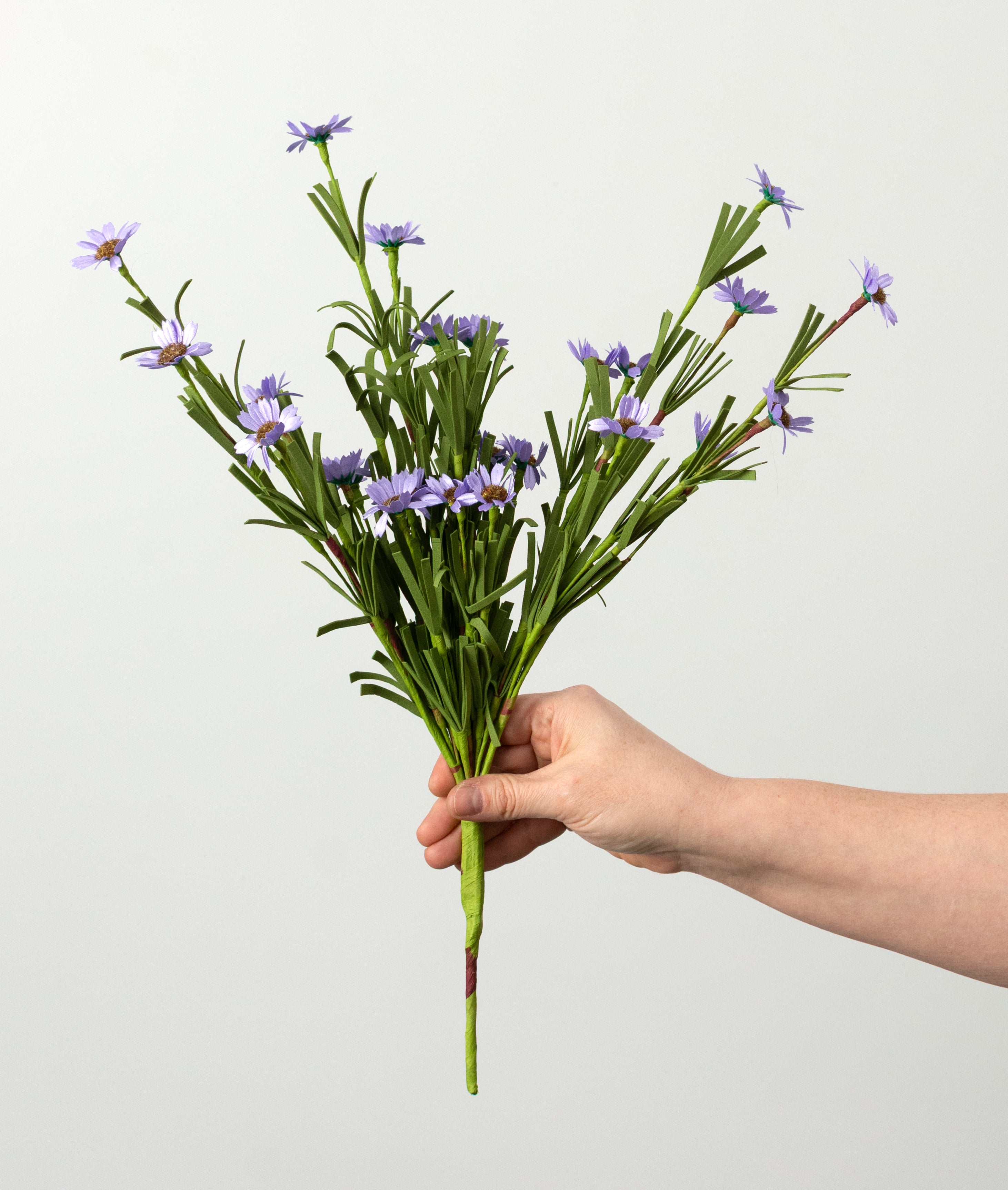 18" Mini Mountain Daisy Bush: Lavender detail photo 3