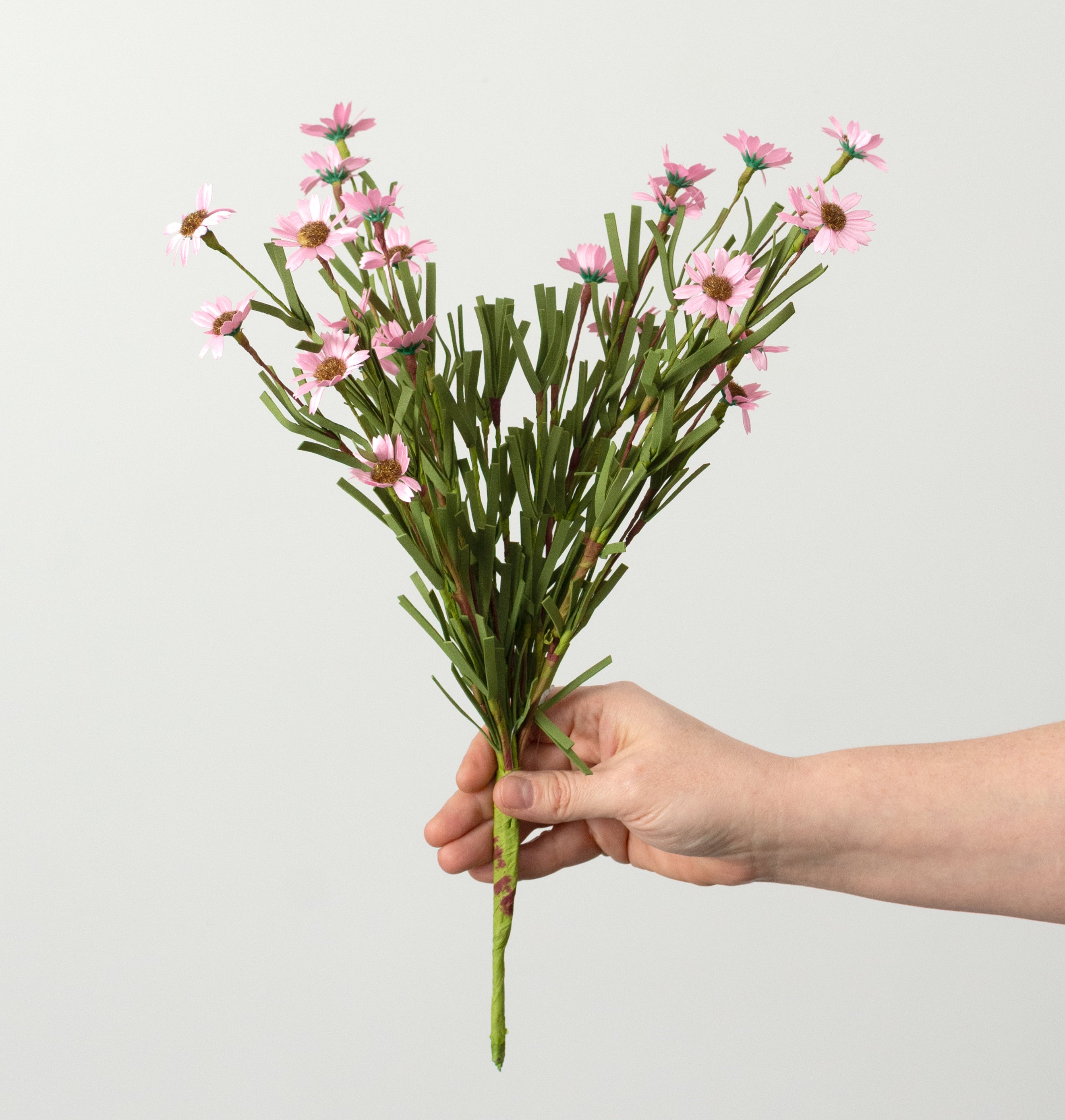 18" Mini Mountain Daisy Bush: Pink detail photo 3