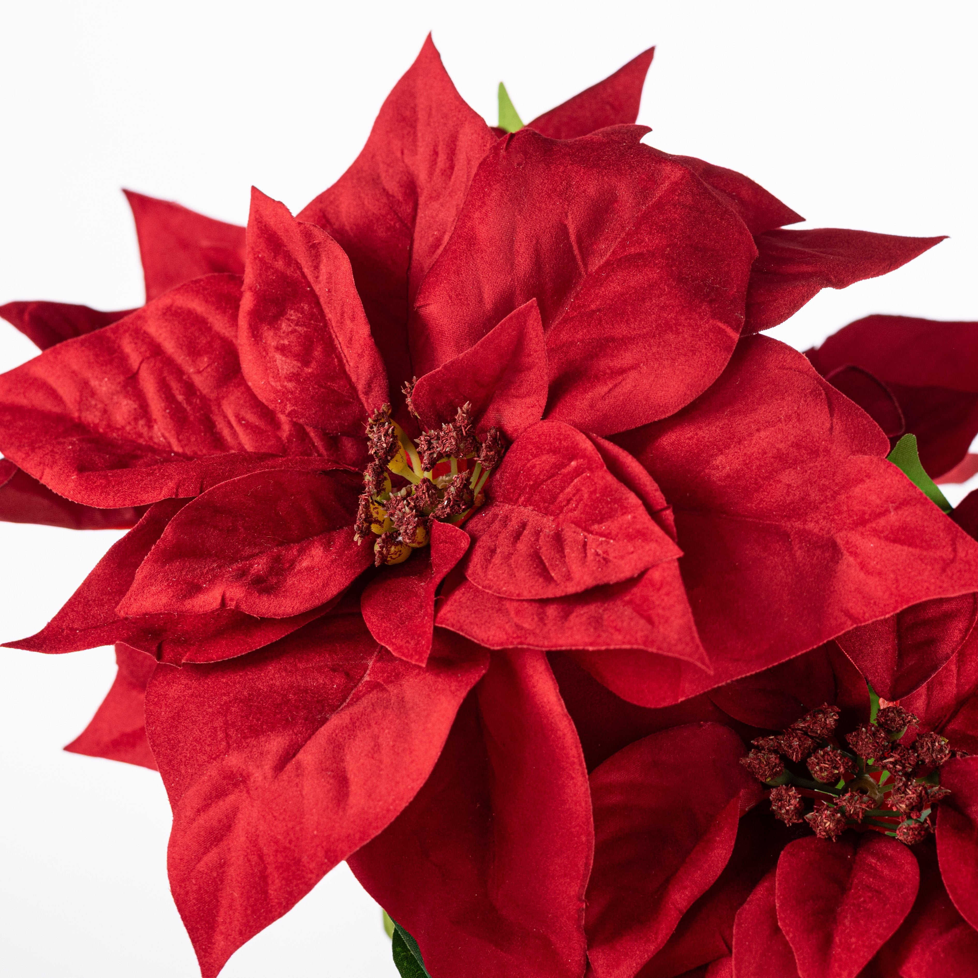 19" Artificial Poinsettia Bush: Red (5 Stem) Lifestyle Photo
