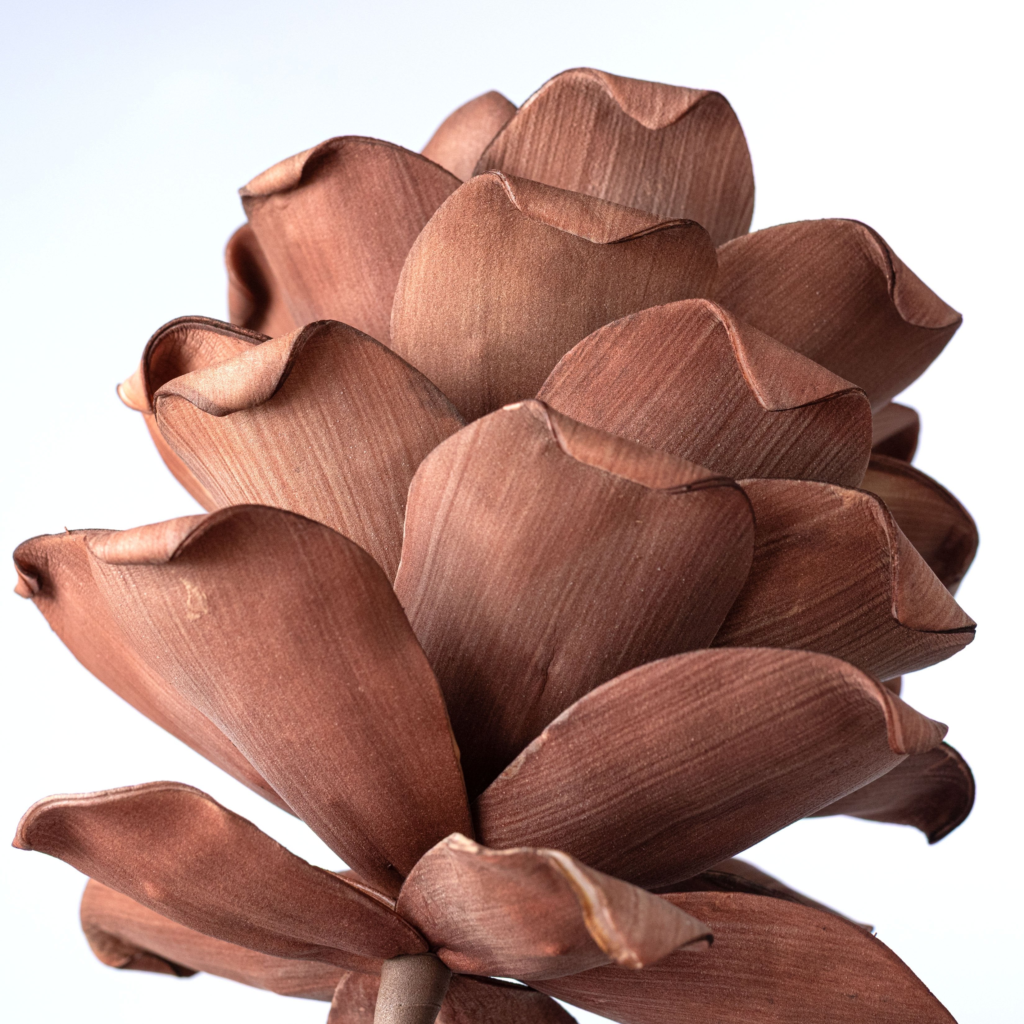 19" Foam Pinecone Pick: Mocha Brown detail photo 5