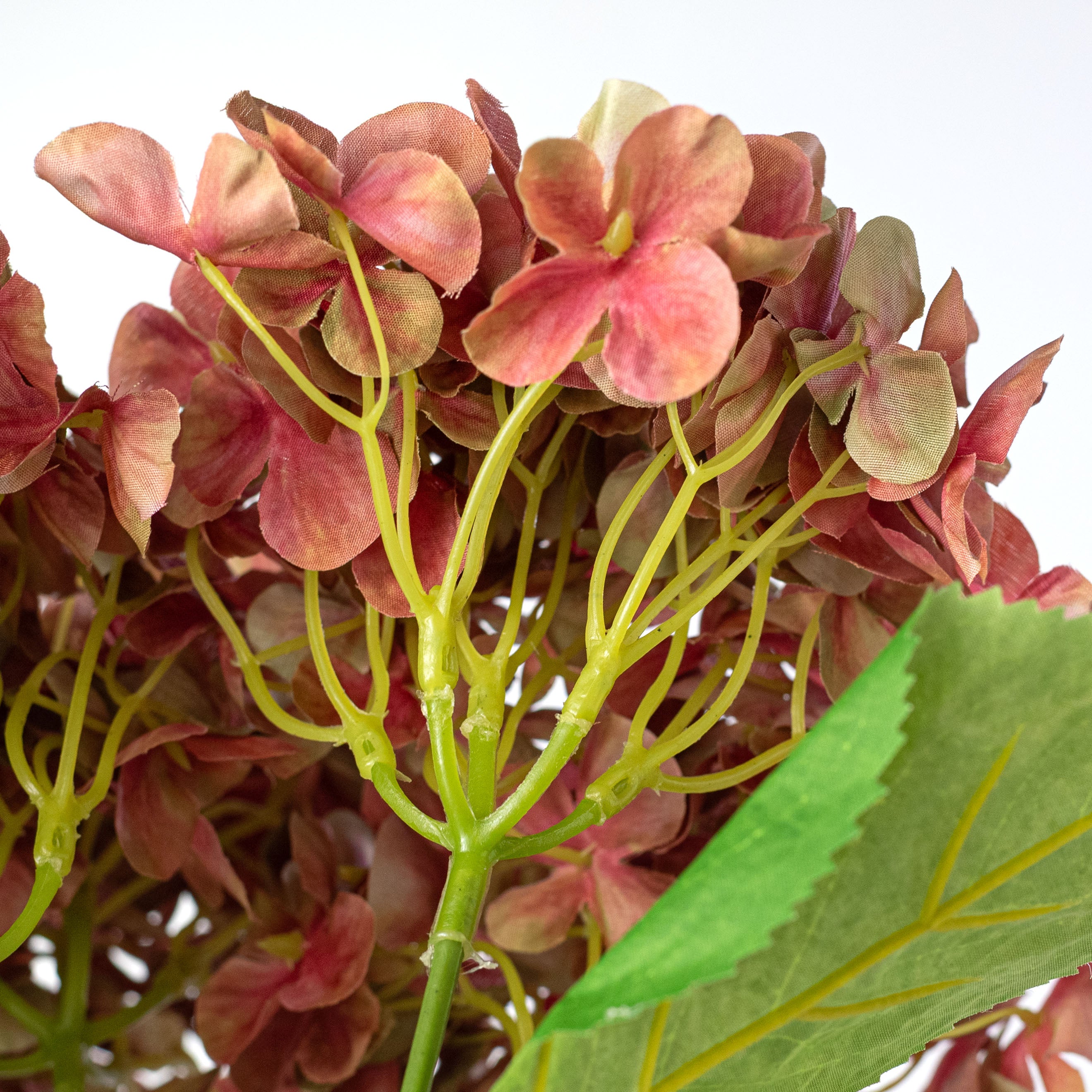 19" Hydrangea Bush: Dusty Salmon Pink (5 Stem) detail photo 4
