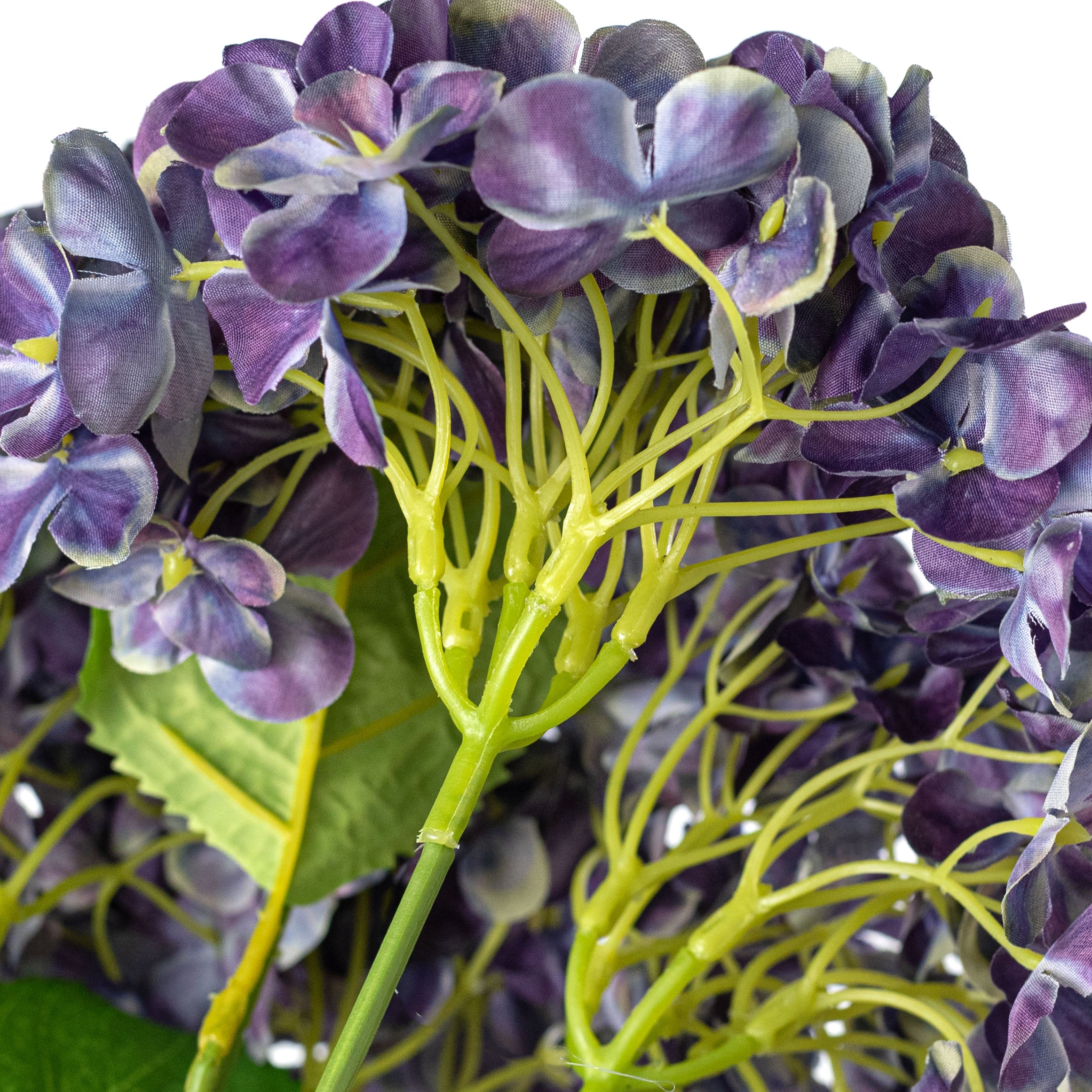 19" Hydrangea Bush: Regal Purple (5 Stem) detail photo 4