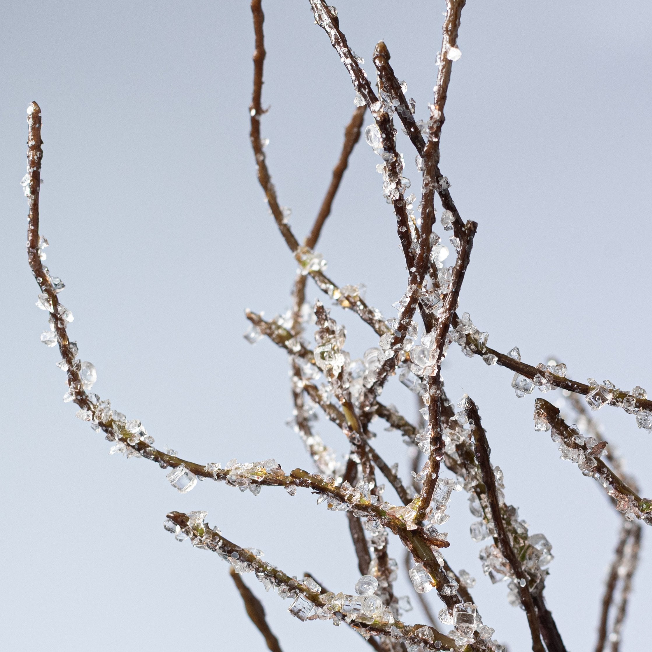 19" Icicle Twig Bundle: Brown (3 Stem) Lifestyle Photo