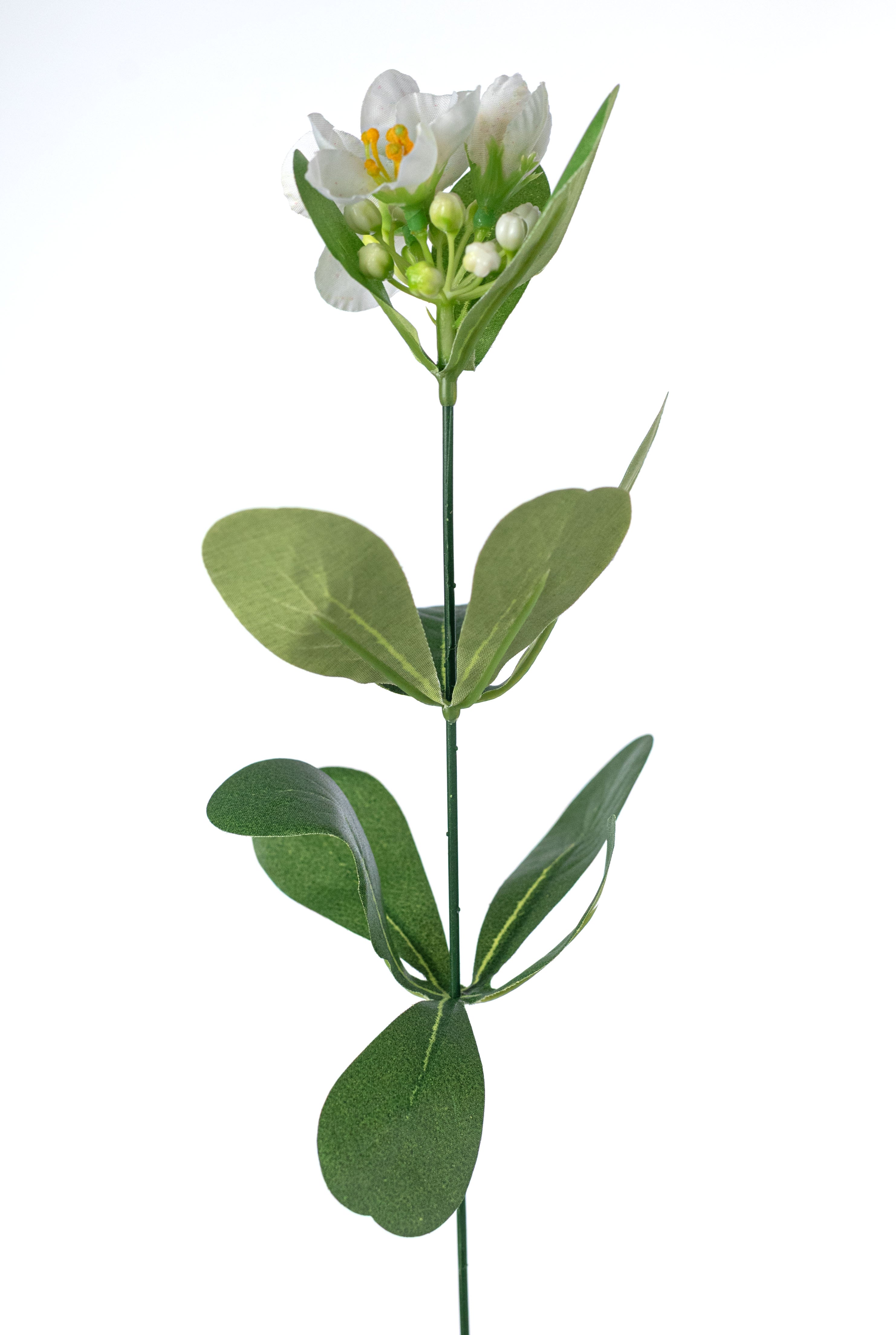 19" Jasmine Blossom Bush: Cream White (12 Stem) detail photo 5